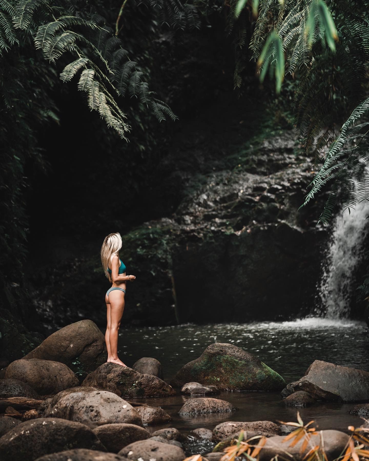 Natural waterfall setting with rocks and tropical vegetation in Hawaii.
