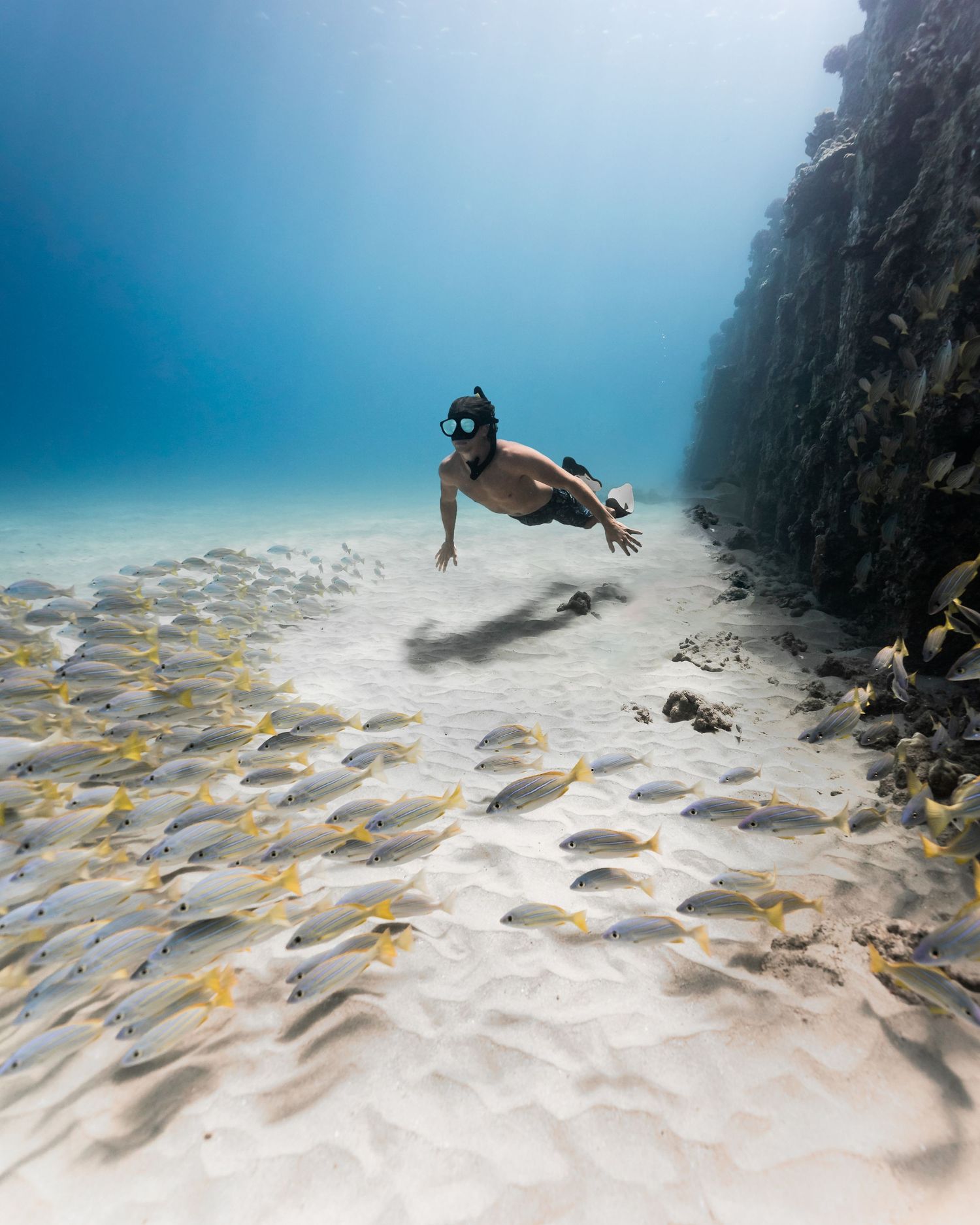 Underwater scene showing school of yellow fish swimming near coral reef formation.