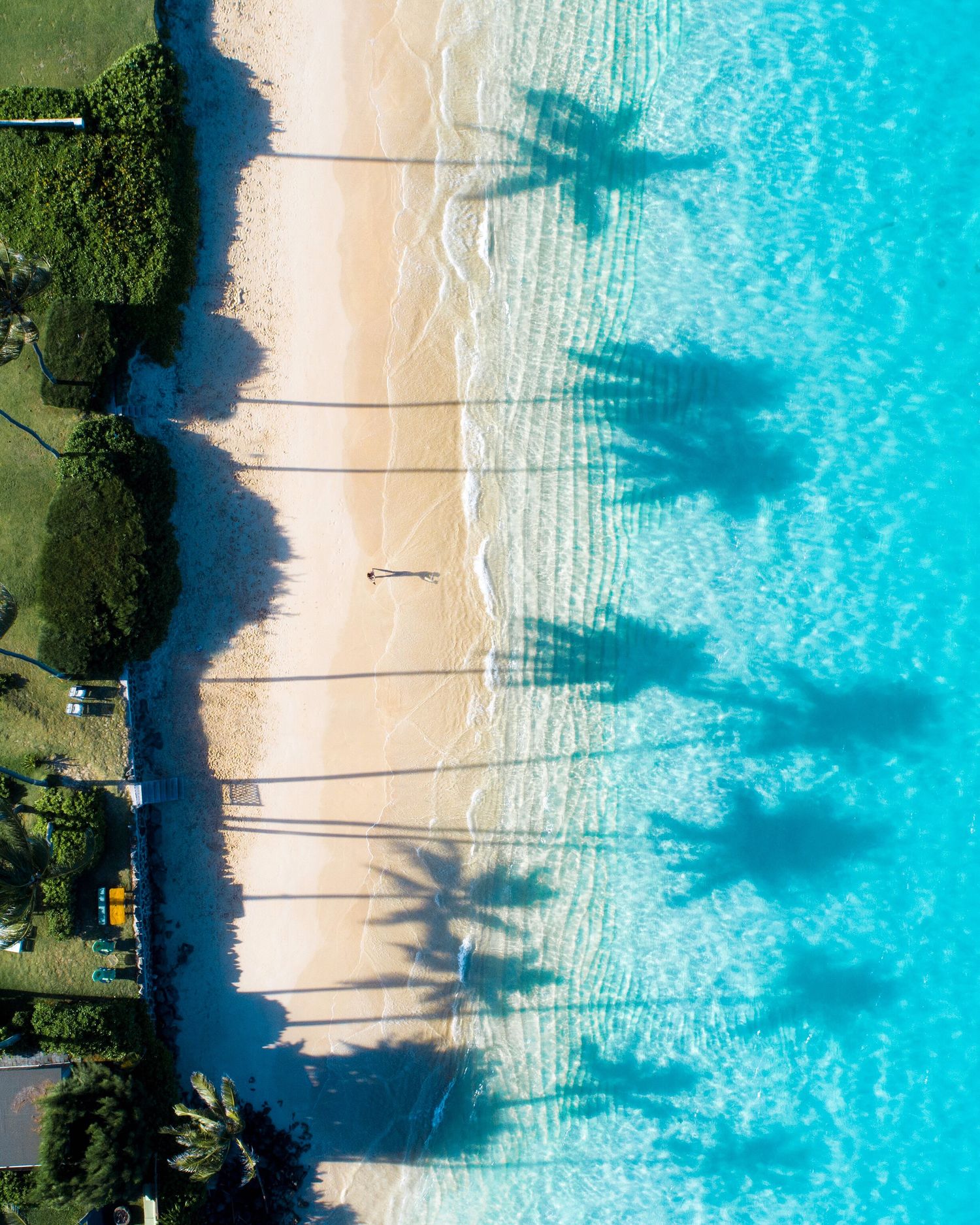 Aerial view of pristine beach with palm tree shadows stretching across white sand.