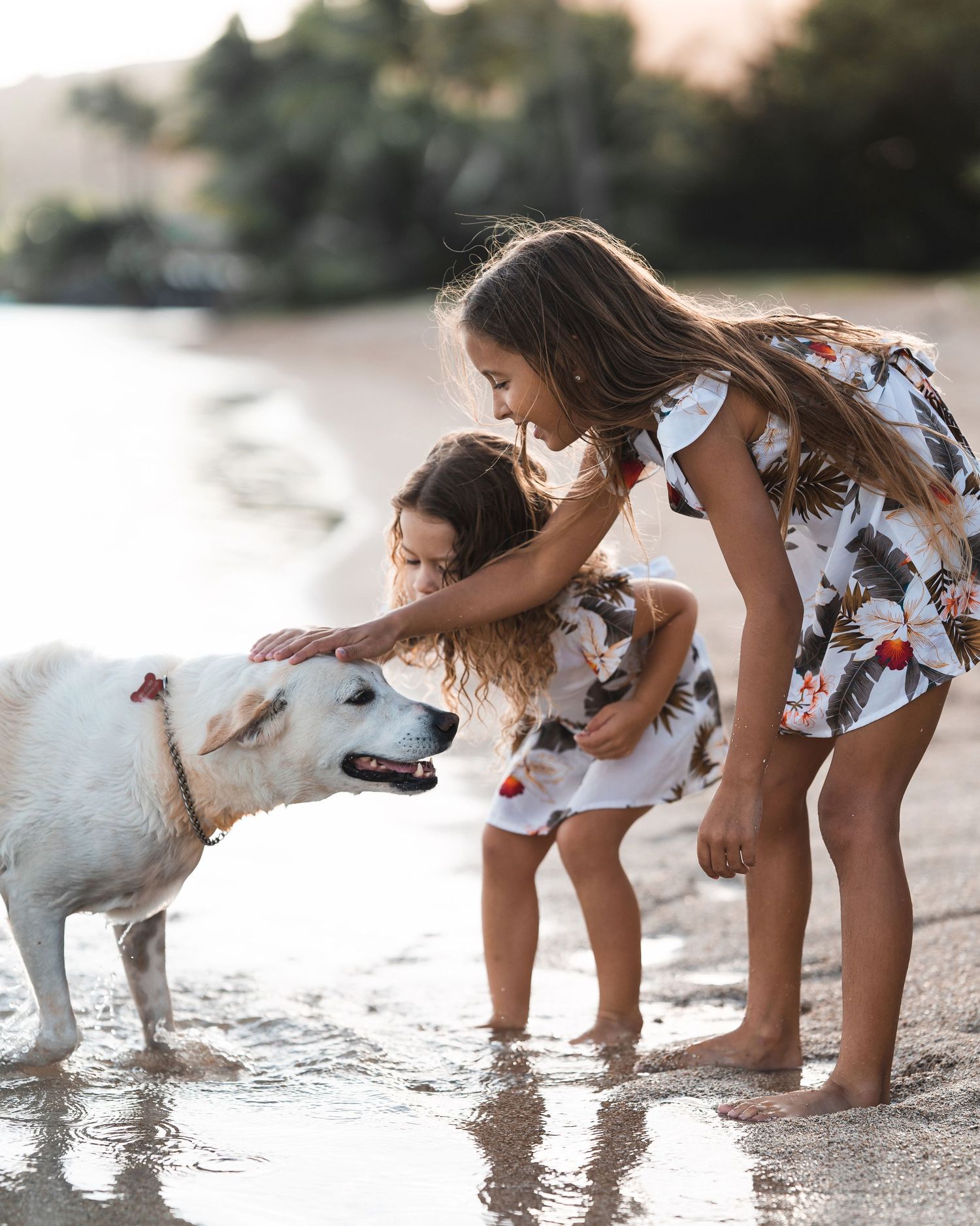 Playful moments captured on a sandy beach with a white dog.