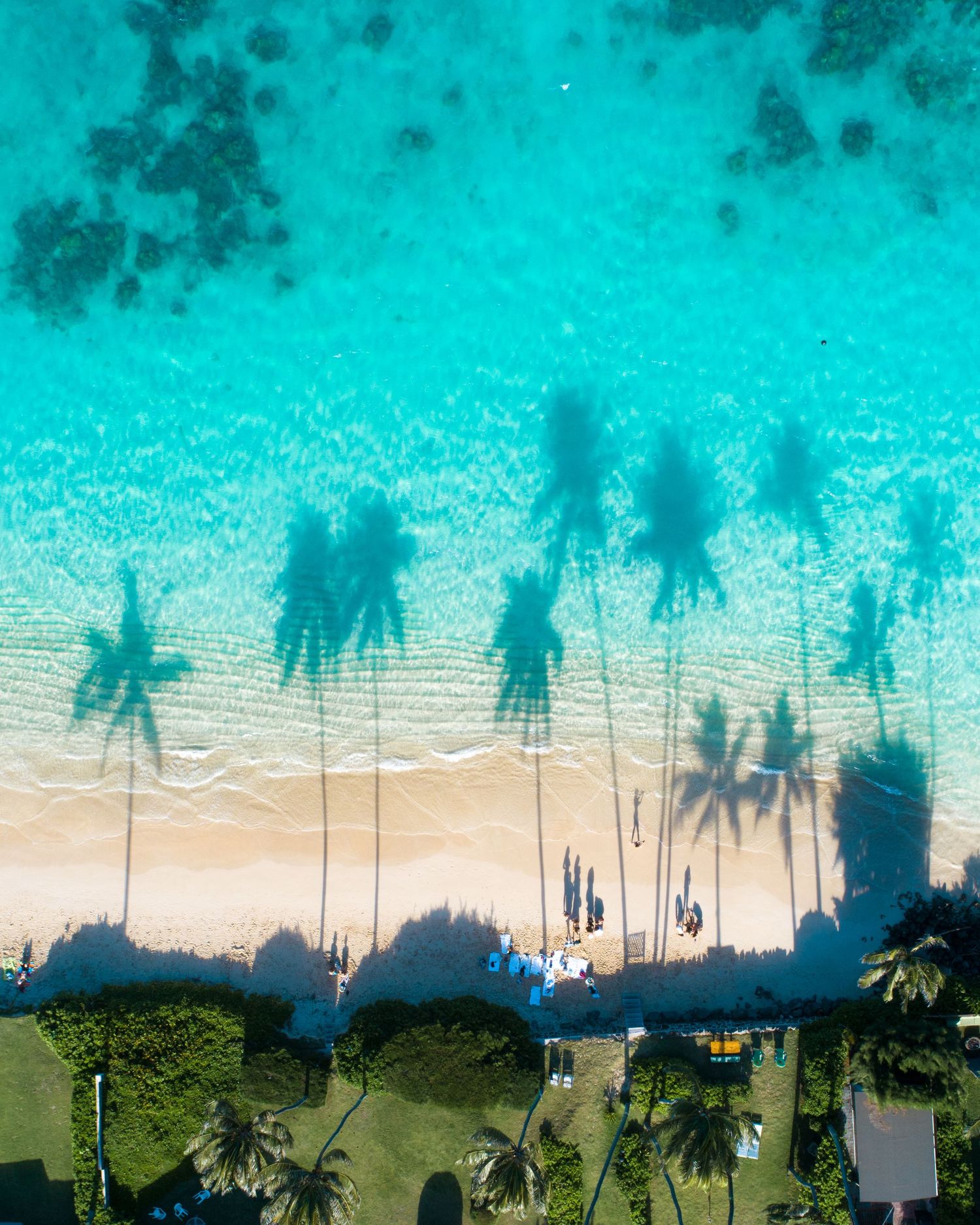 A tropical beach scene with palm trees, a turquoise ocean, and silhouettes of people in the water in Hawaii.