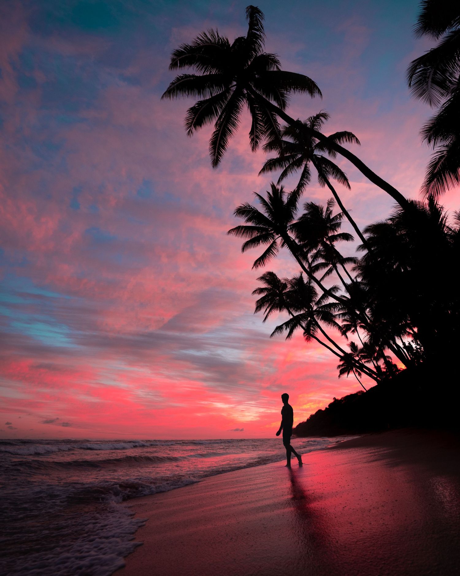 Palm trees silhouetted against a vibrant pink and purple sunset on a tropical beach.