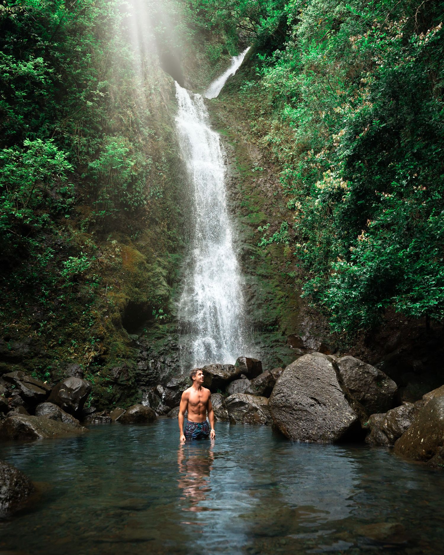 Serene waterfall pool surrounded by tropical greenery in Hawaiian rainforest.