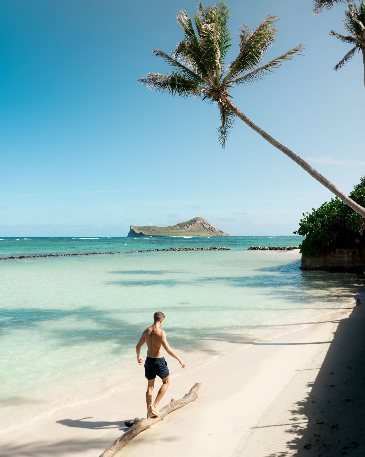 Palm trees line a pristine white sand beach with crystal clear turquoise waters.
