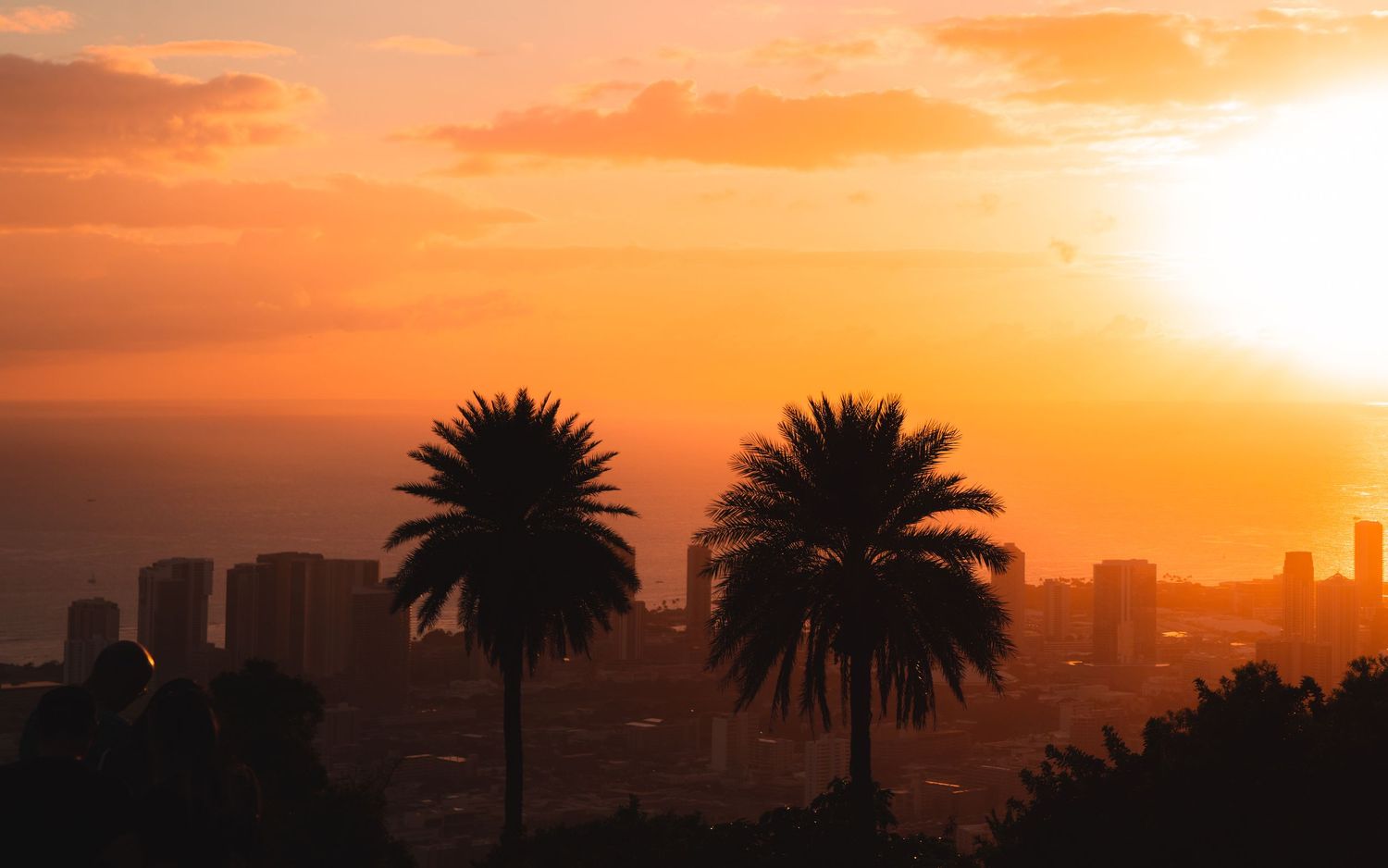 Silhouetted palm trees against a vibrant orange sunset skyline in a city landscape looking of Honolulu.