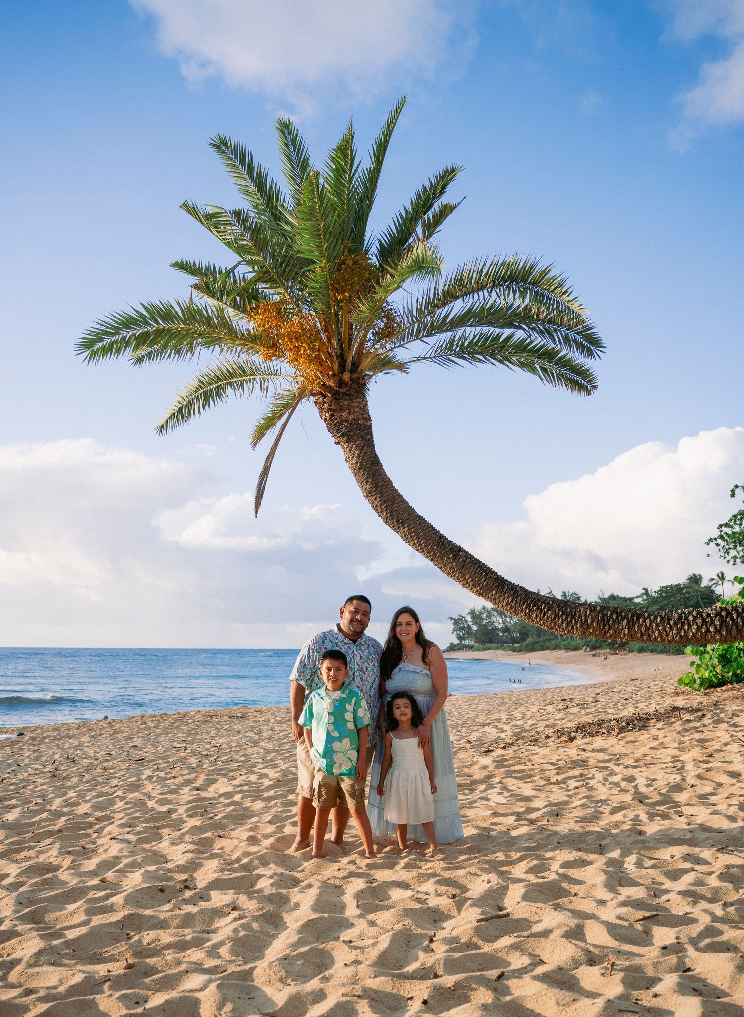 Family of four posing under a leaning palm tree on a sandy Hawaiian beach with ocean views.