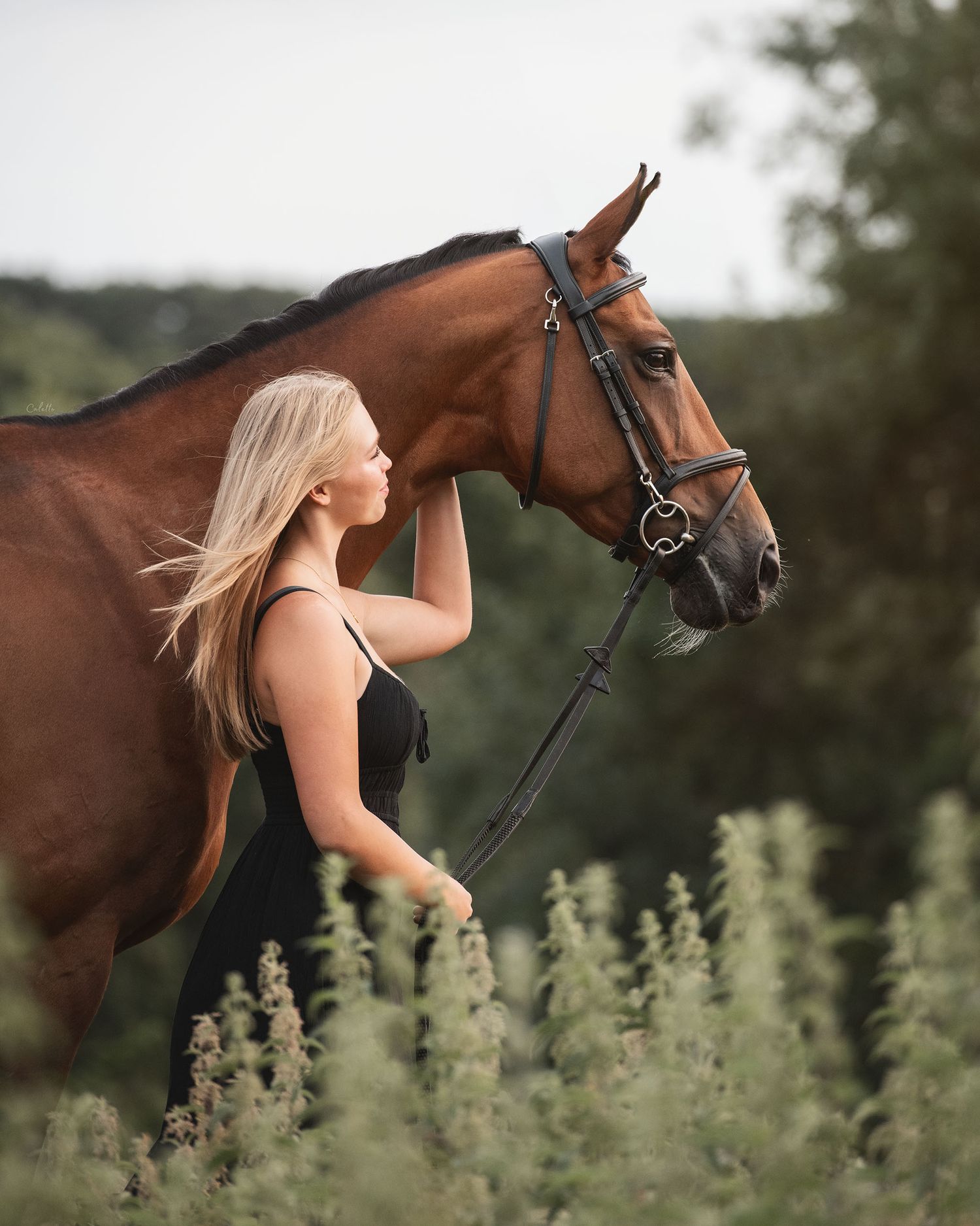 A bay horse and blonde girl share a tender moment in a meadow with tall grasses during golden hour. Looking out into the distance.