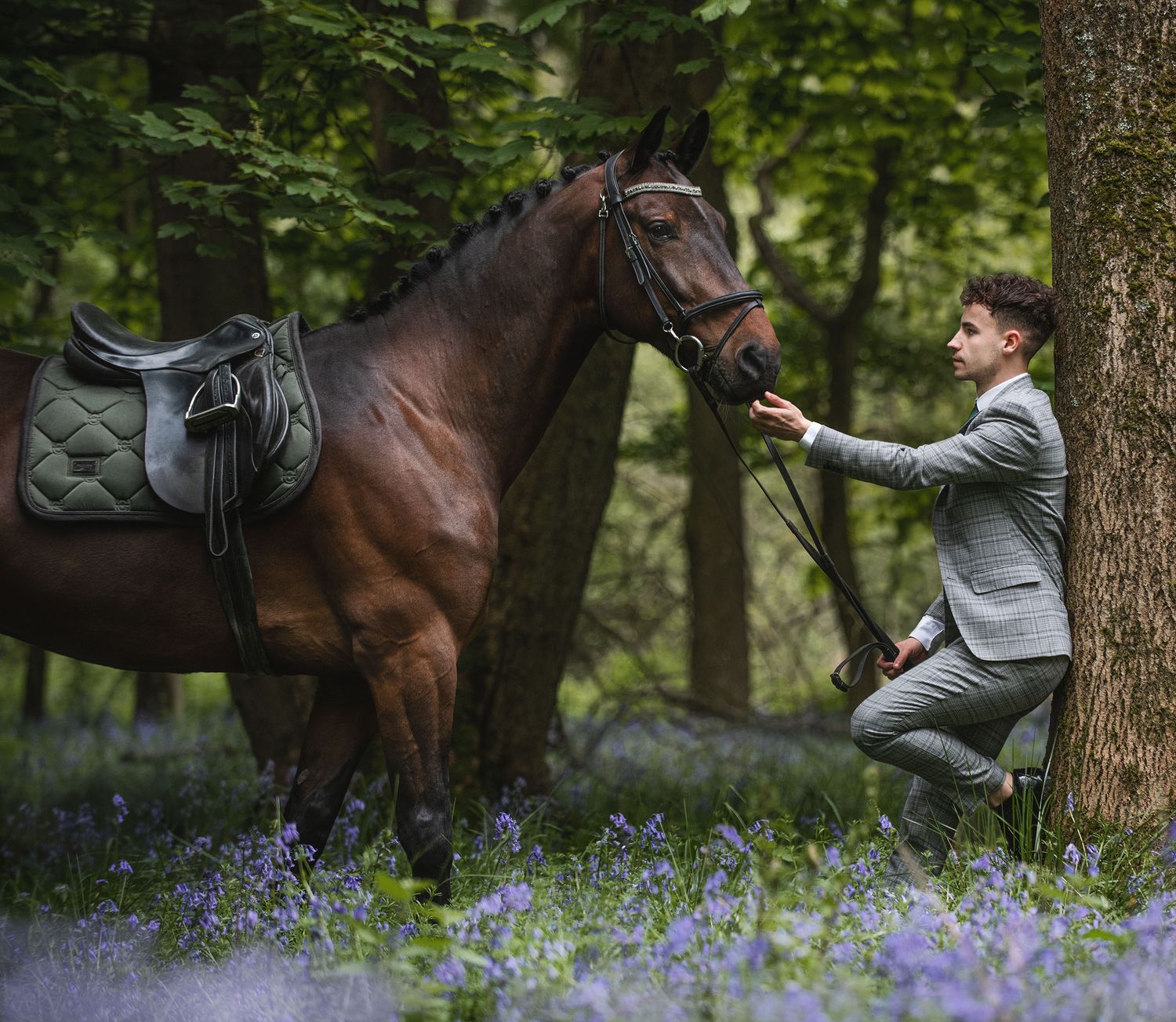 A majestic brown horse and strong male rider stand among blooming bluebells in a forest setting, showing this does not have to be feminine.