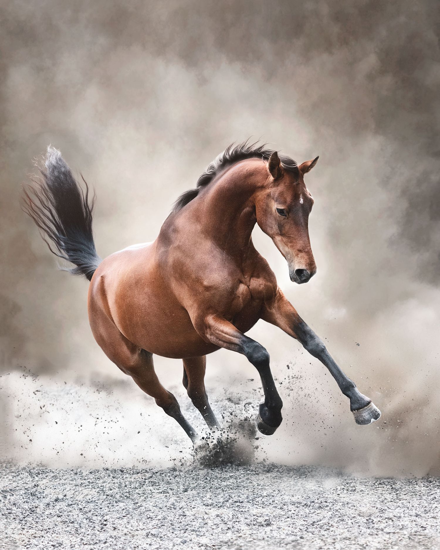 A bay horse gallops dramatically through dust clouds in dynamic action shot demonstrating painted background replacement editing.