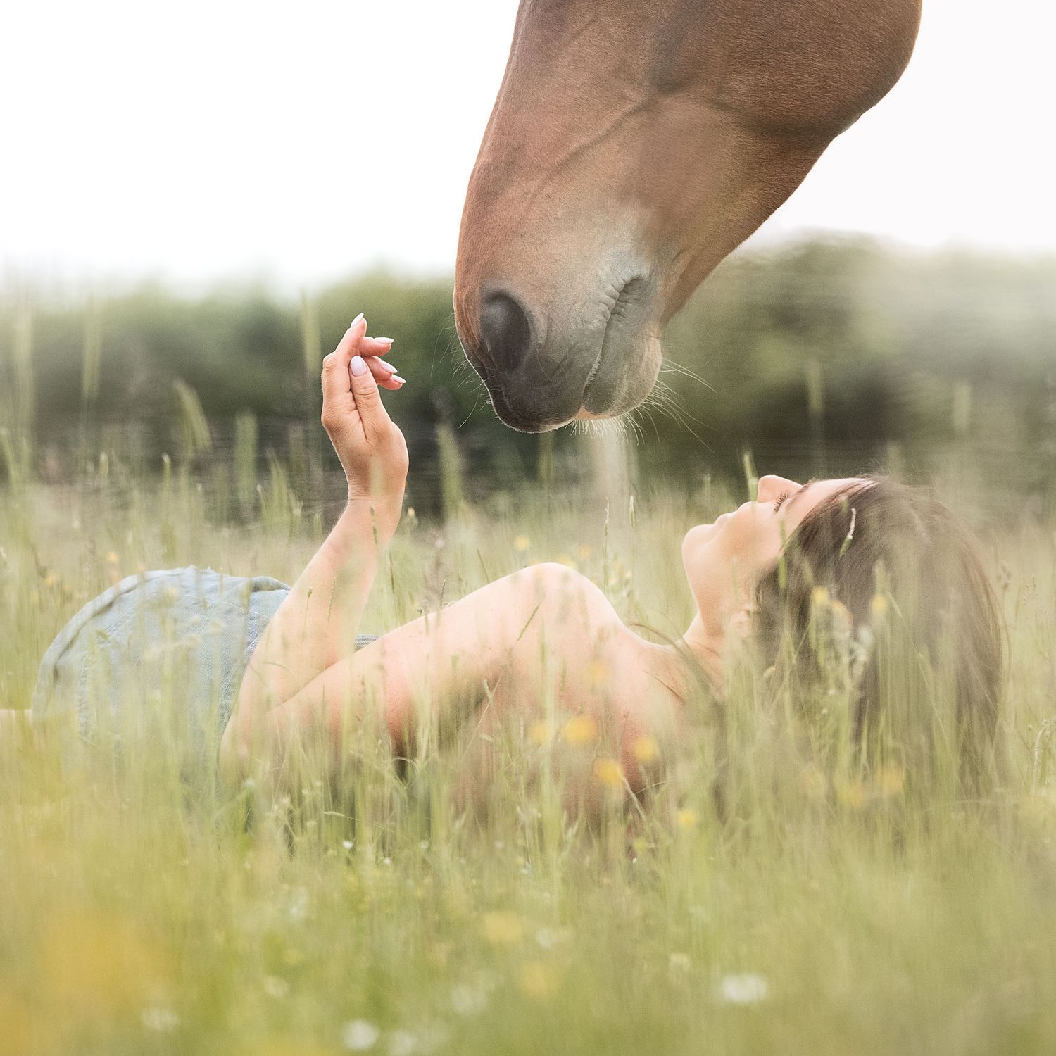 Beautiful brown horse reaching down to laying girl in a sunlit meadow with tall grass and wildflowers. A real moment of connection.