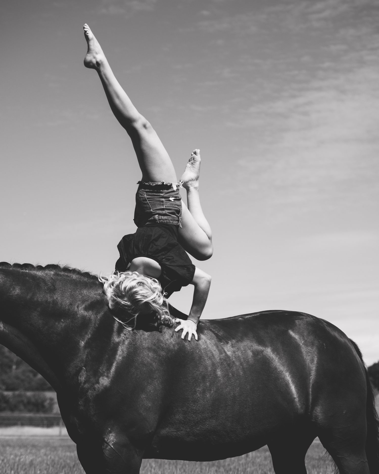 Black and white photo of a woman doing a handstand on a horse's back outdoors.