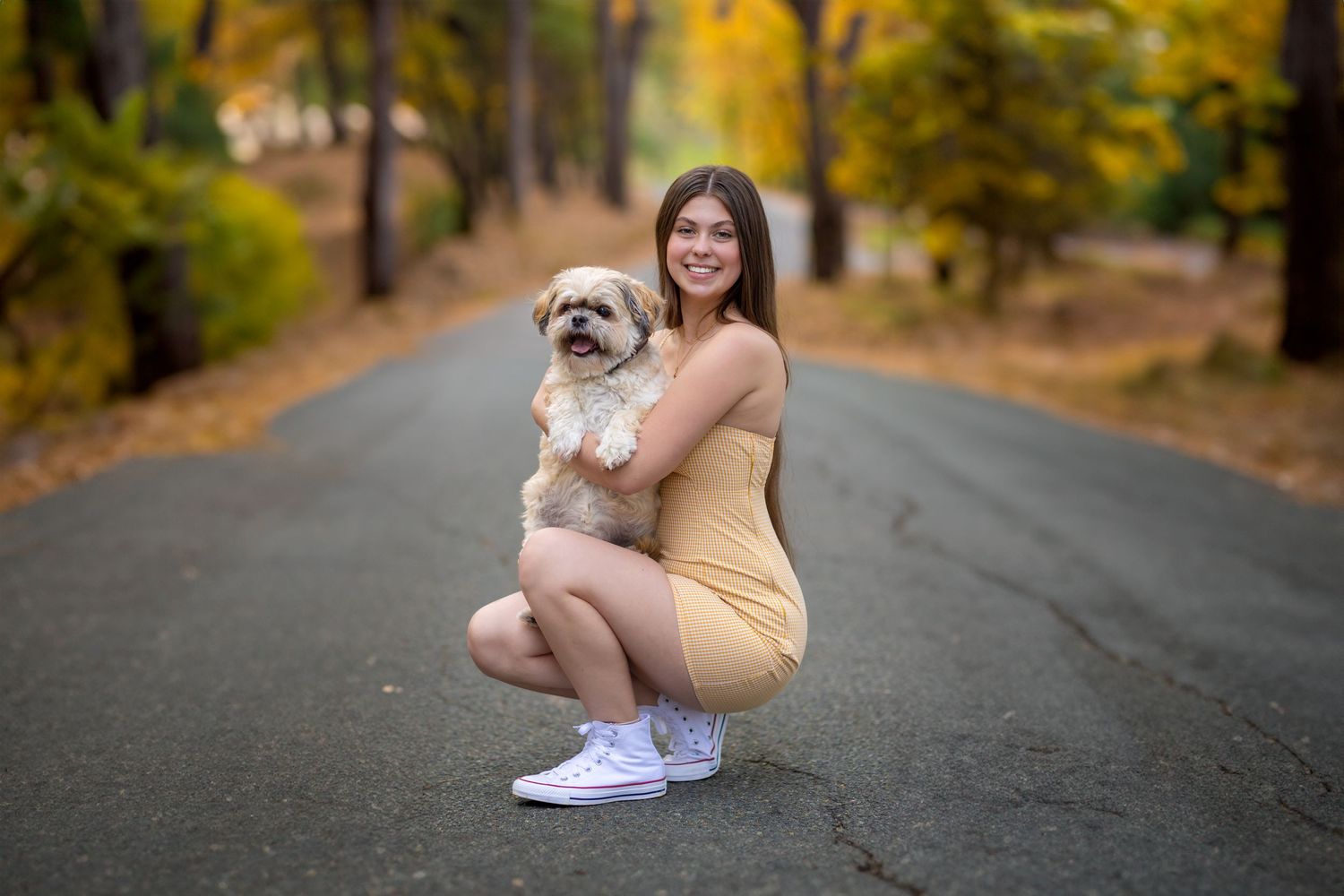 Playful Shih Tzu puppy with autumn foliage background on a paved path during fall season.