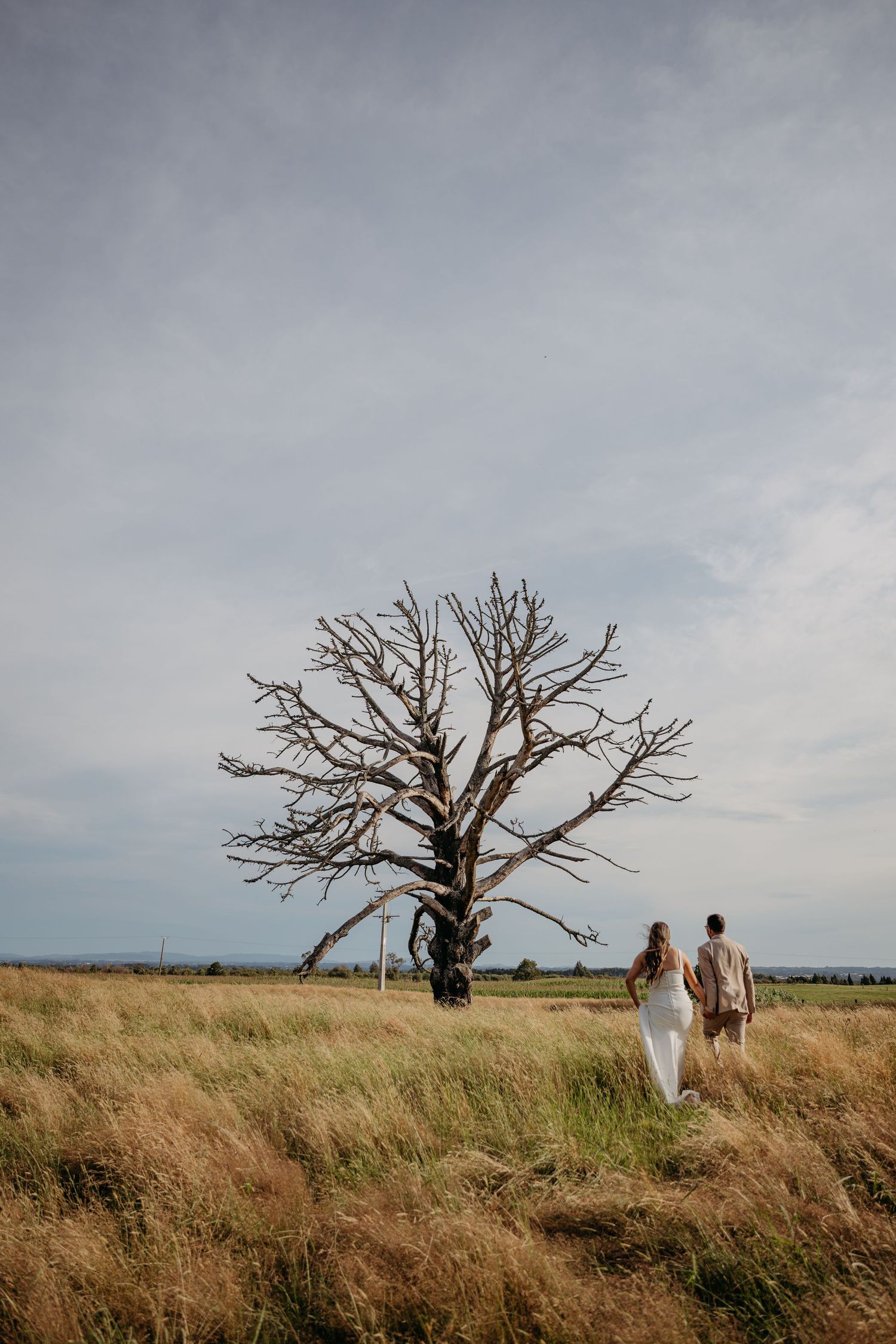 Couple in wedding attire walking through golden grass field toward a bare tree under cloudy skies.