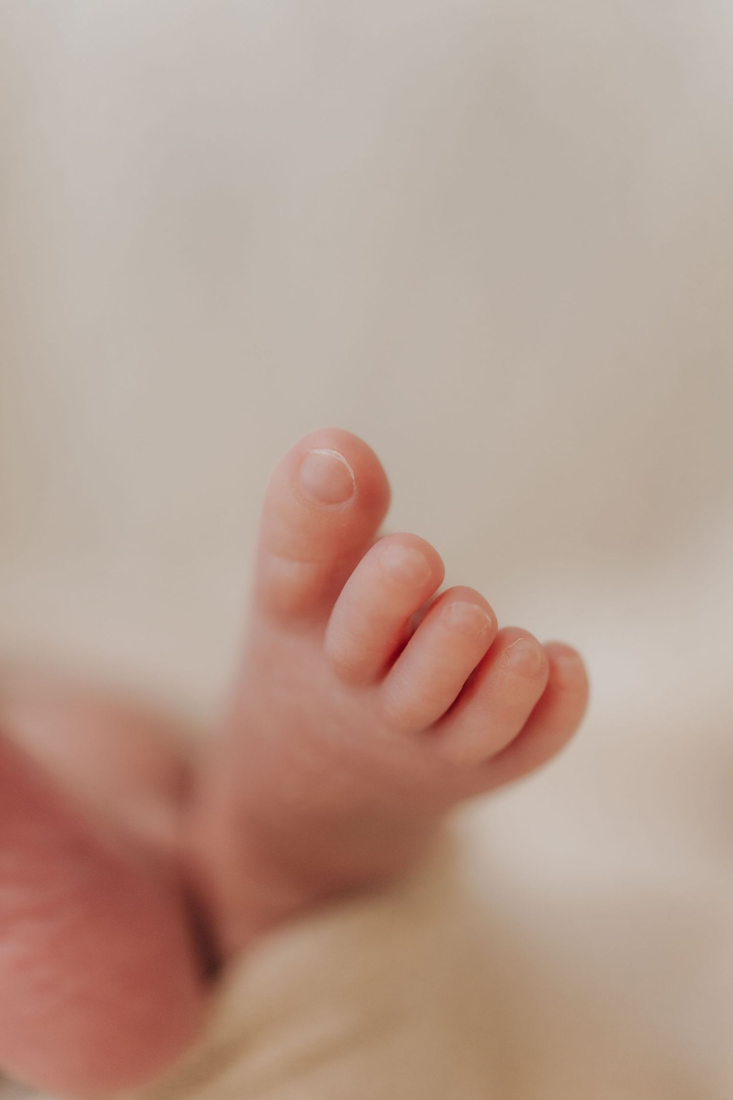 Close-up photo of tiny baby toes against a soft beige background showing delicate newborn details.嬰兒小腳趾的特寫照片，背景是柔和的米色，展現了新生兒精緻的細節。