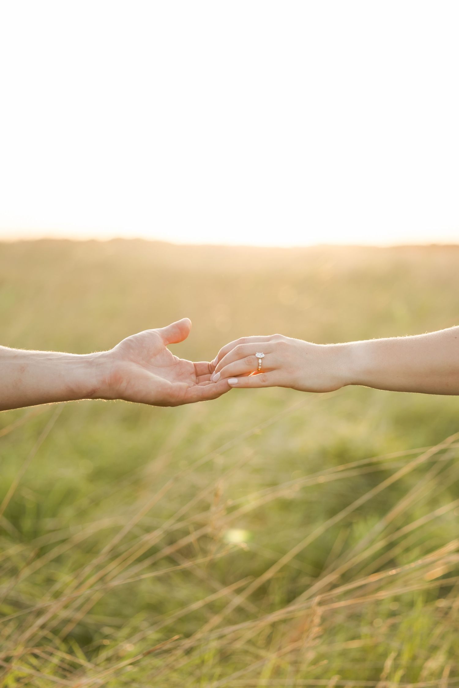 Two hands reaching towards each other across a blurred grassy meadow background in a touching moment of connection.