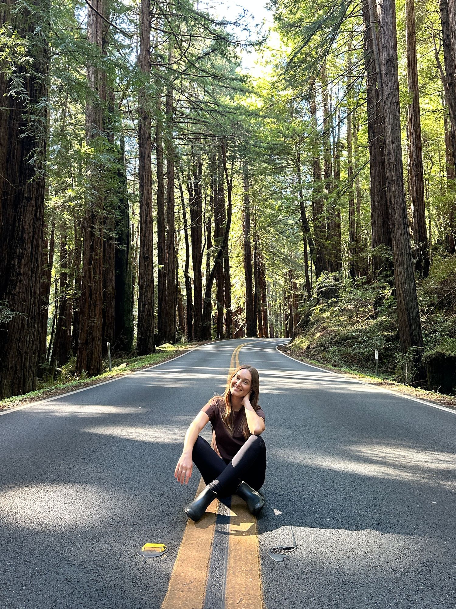 A scenic road winds through towering redwood trees in a sunlit forest.