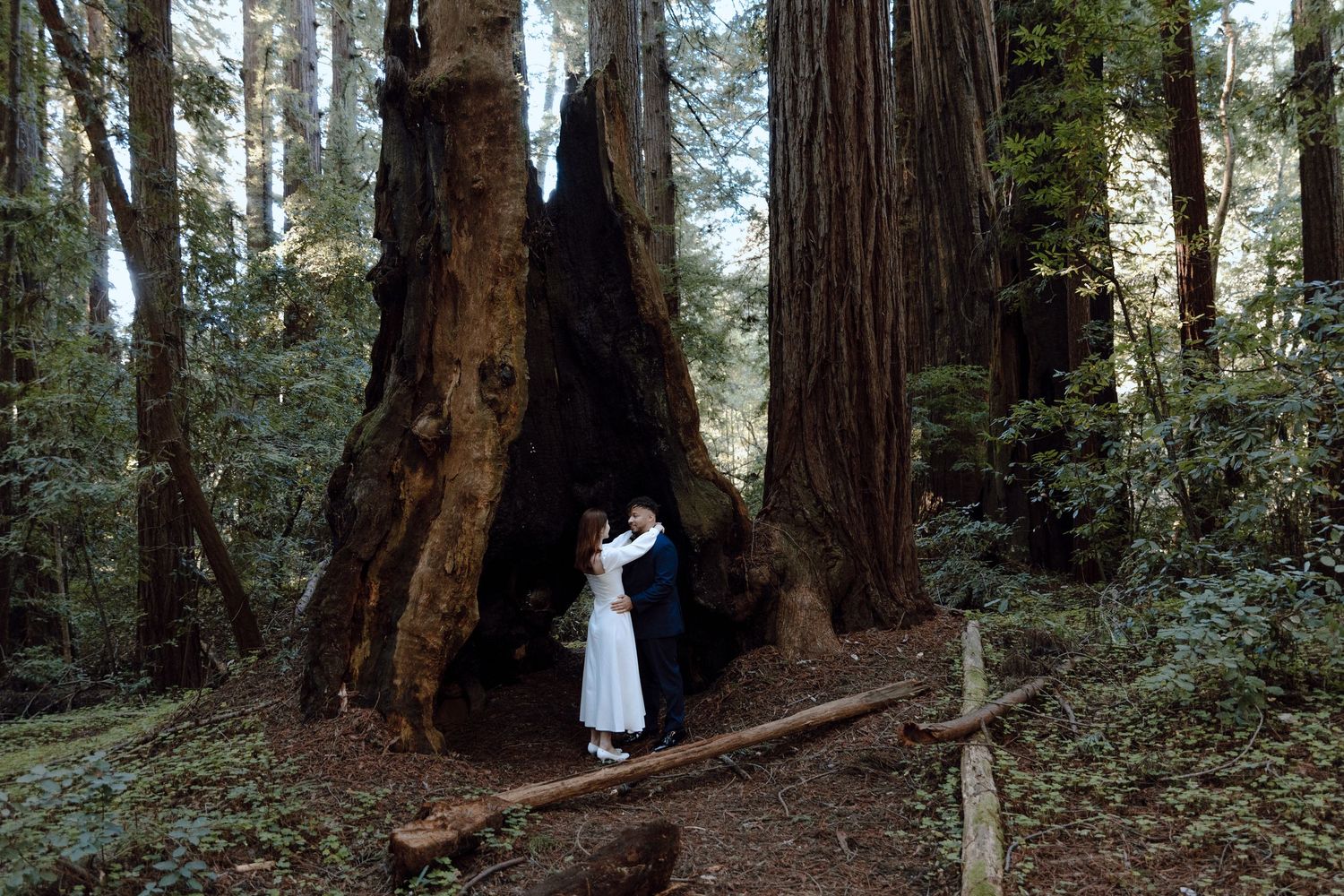 Couple embracing in front of a massive ancient redwood tree in a lush forest during a romantic outdoor wedding.