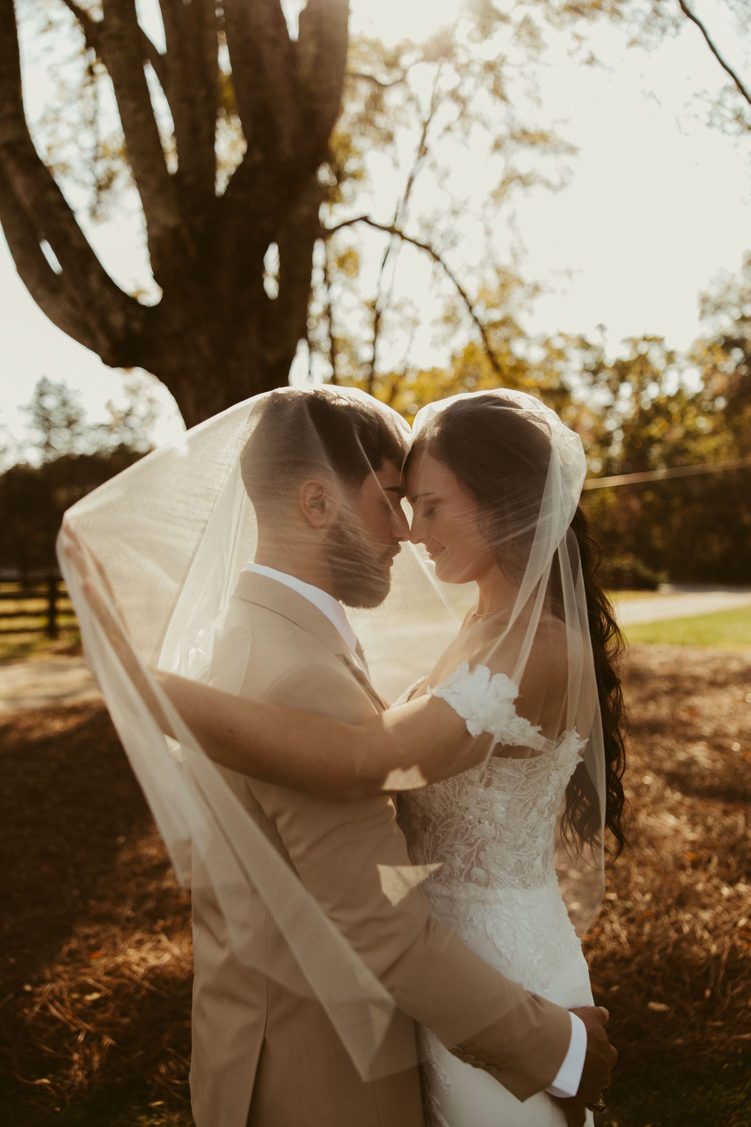 Bride and groom sharing an intimate moment under a flowing veil in warm golden sunlight outdoors.