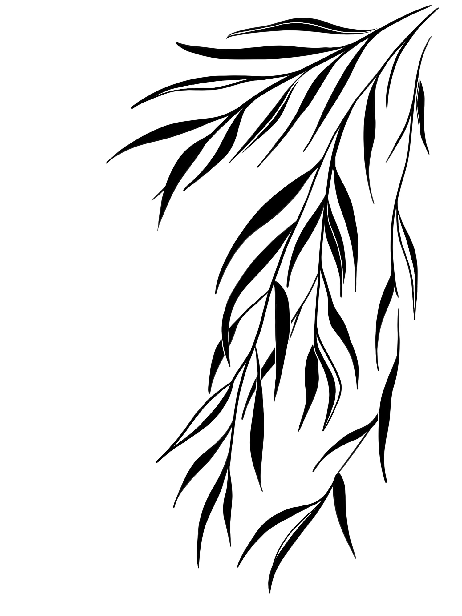 Black and white silhouette illustration of drooping willow branches with elongated leaves on white background.