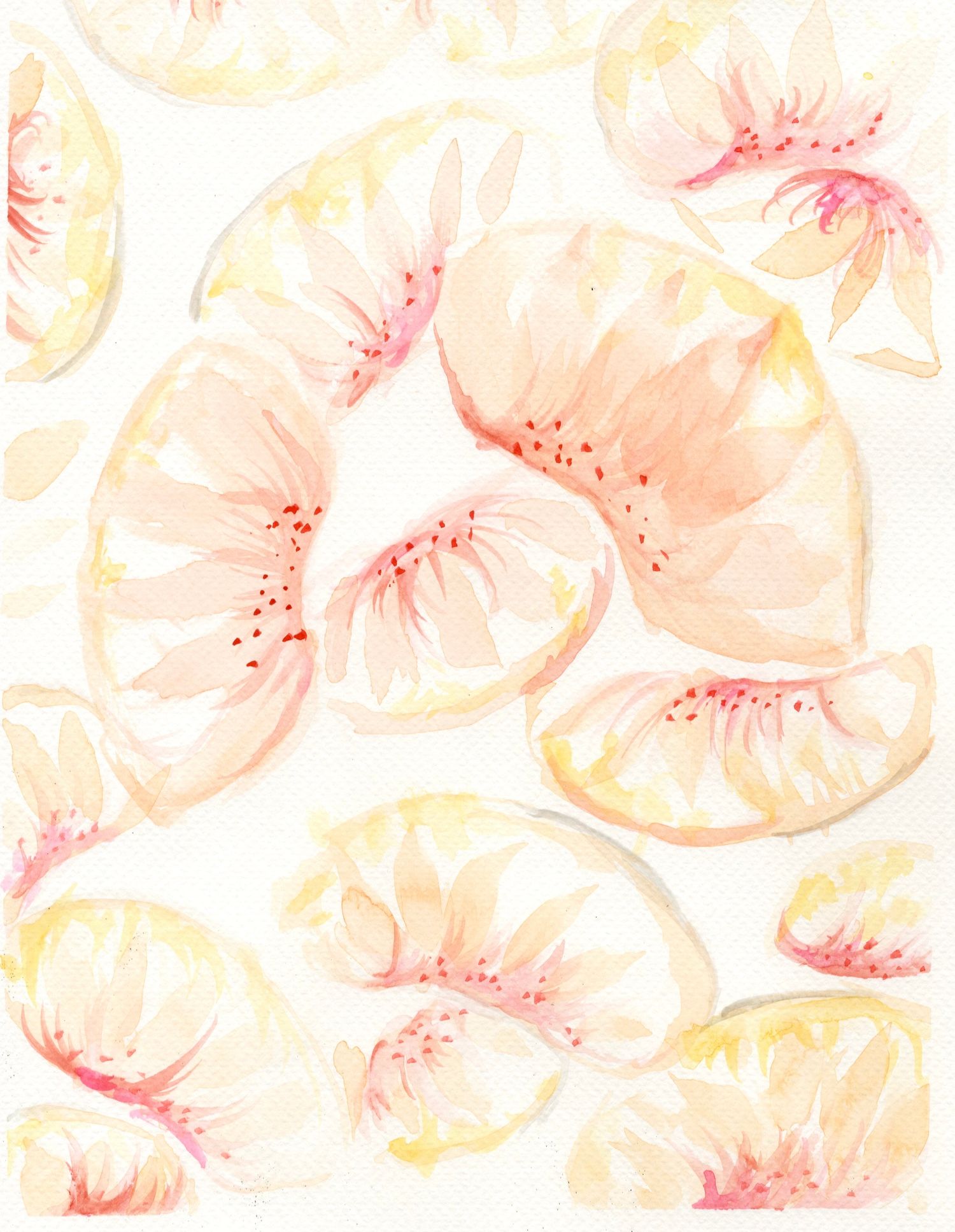 Soft watercolor painting of scattered citrus slices and pink flowers in pastel peach, yellow, and pink tones.