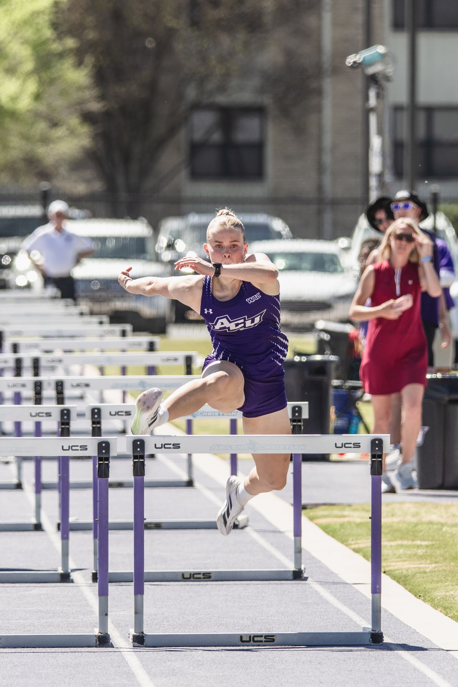 Female ACU athlete clears hurdle during outdoor track and field competition.