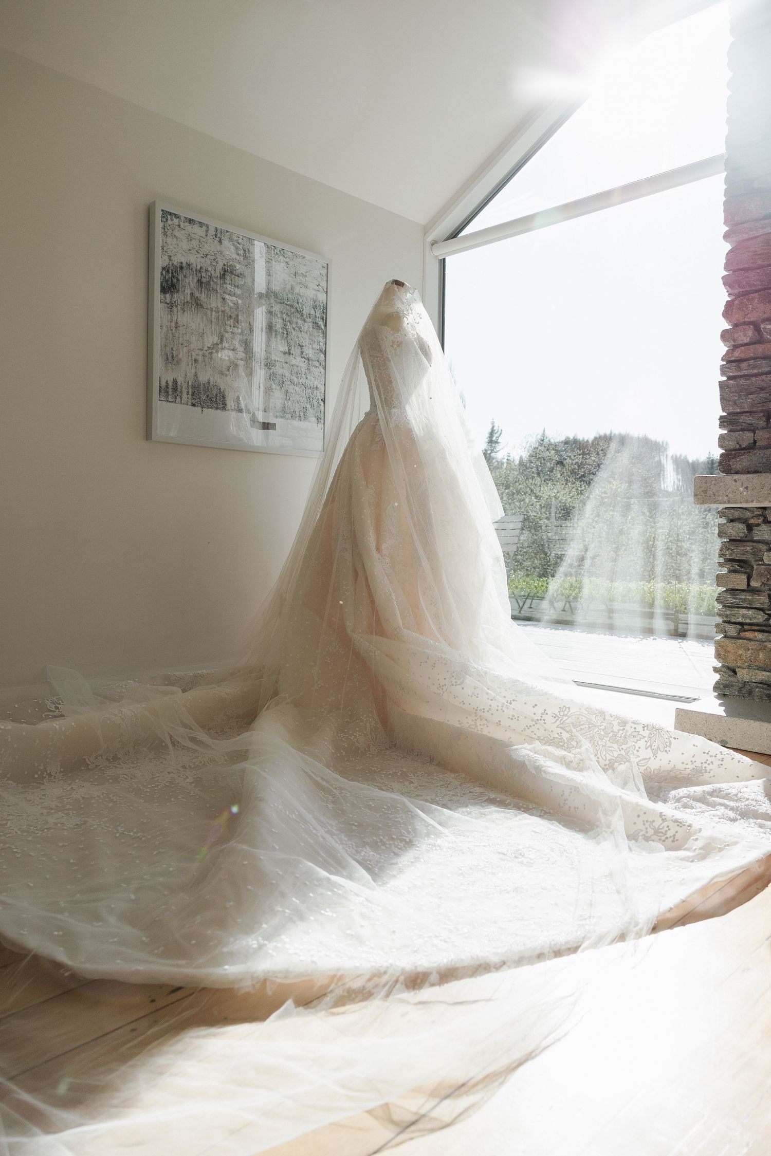 Stunning Steven Khalil wedding dress with long train displayed near large window with natural light.
