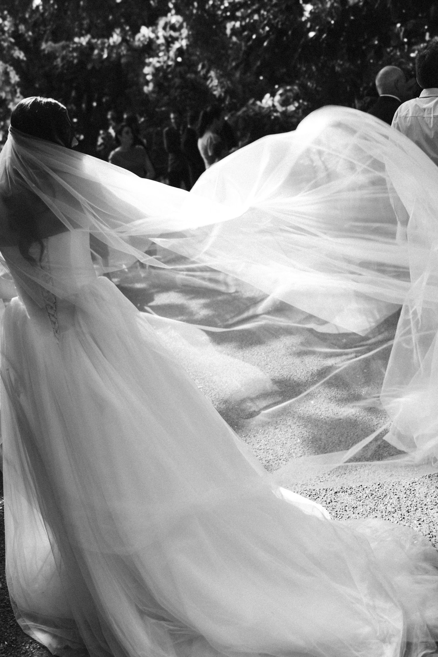 Black and white photo of bride with flowing veil billowing in wind at outdoor ceremony.