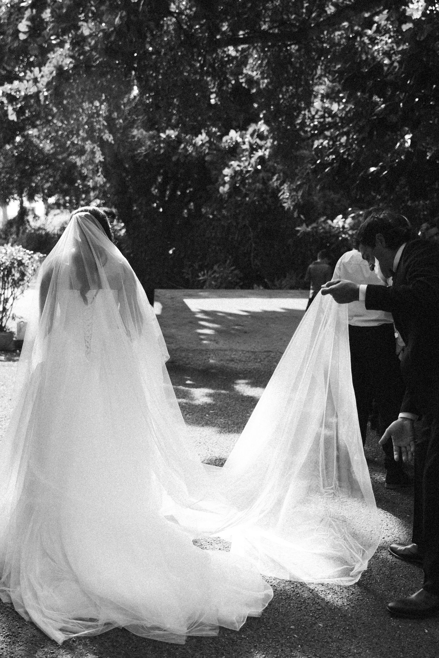 Groom adjusting bride's long flowing veil in sunlit garden on wedding day.
