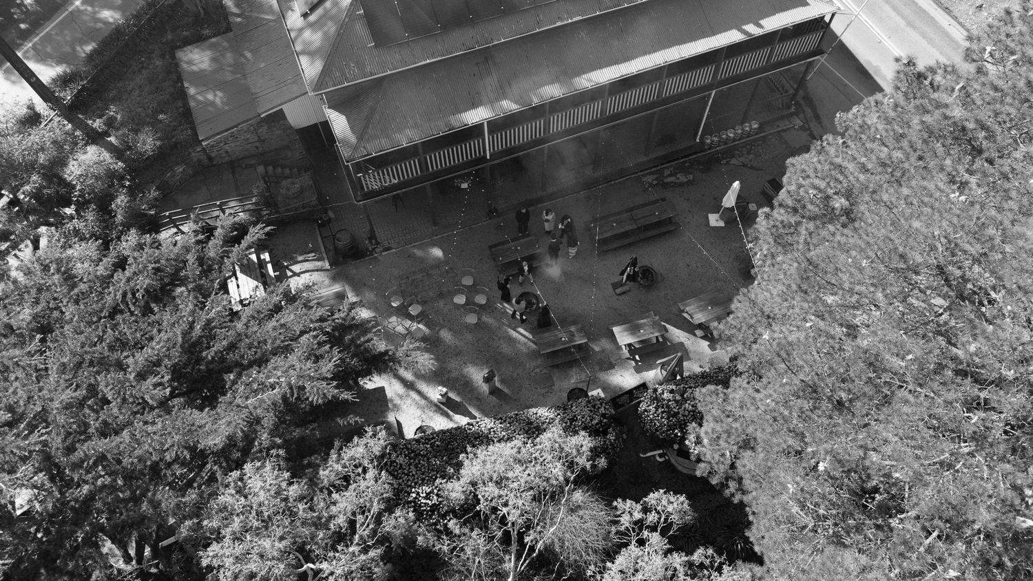 Aerial black and white photo of a building surrounded by dense trees with people and vehicles visible below.