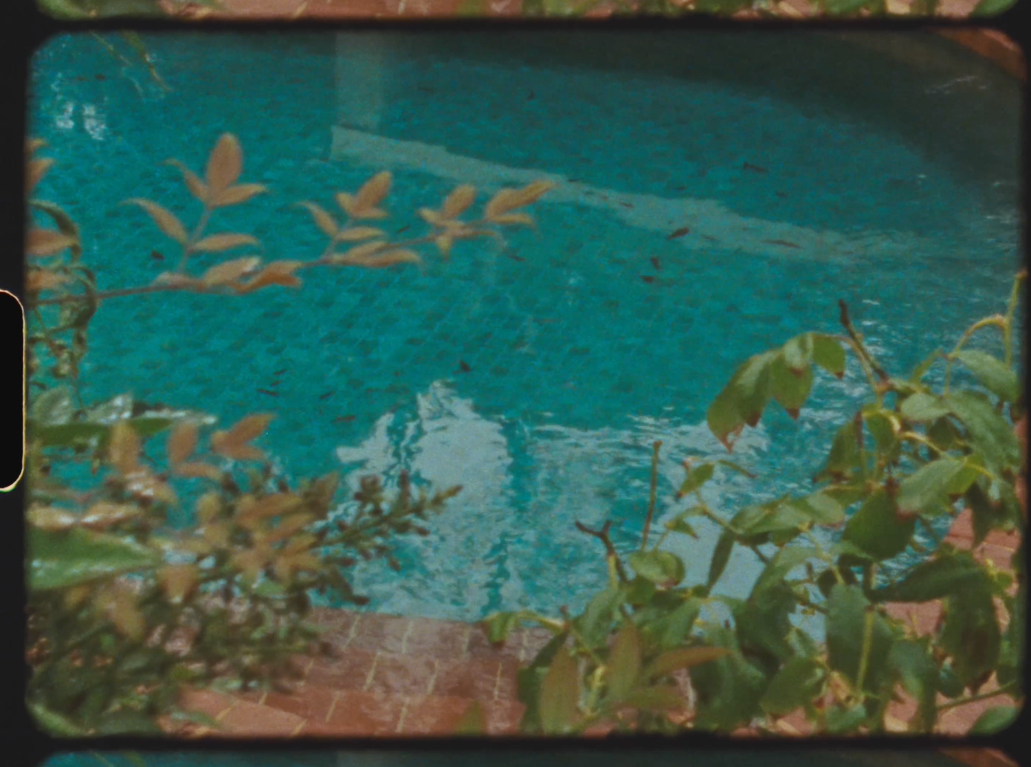 Lush green and orange tropical plants surround a serene turquoise swimming pool in a garden setting.