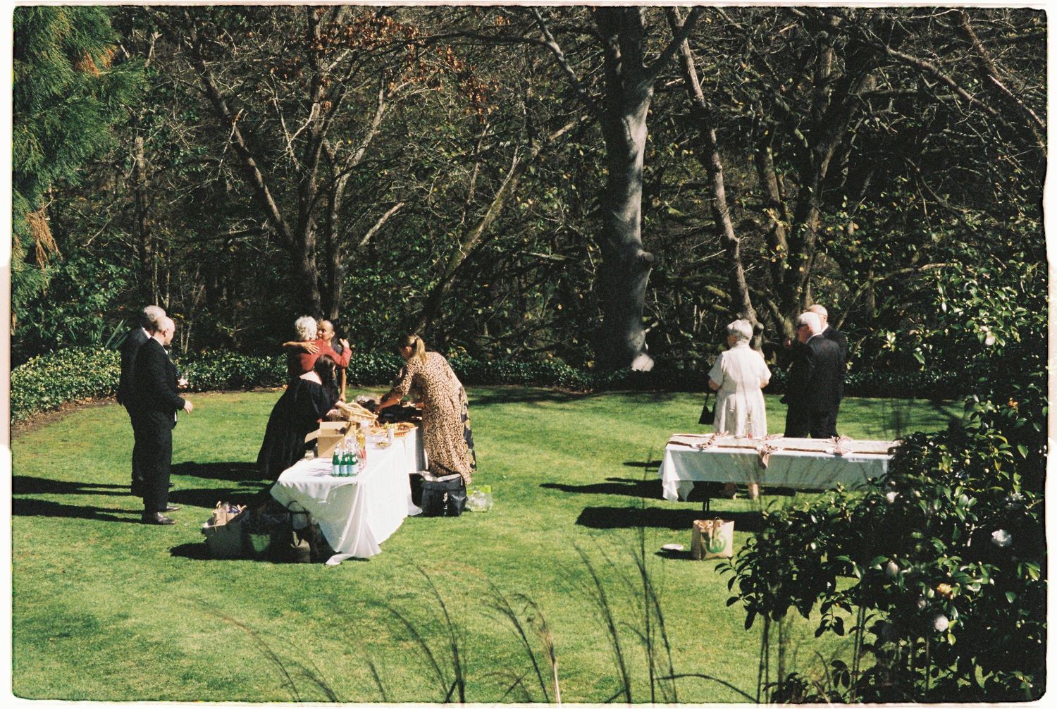 Guests mingling at outdoor wedding reception tables on a sunny lawn surrounded by trees.