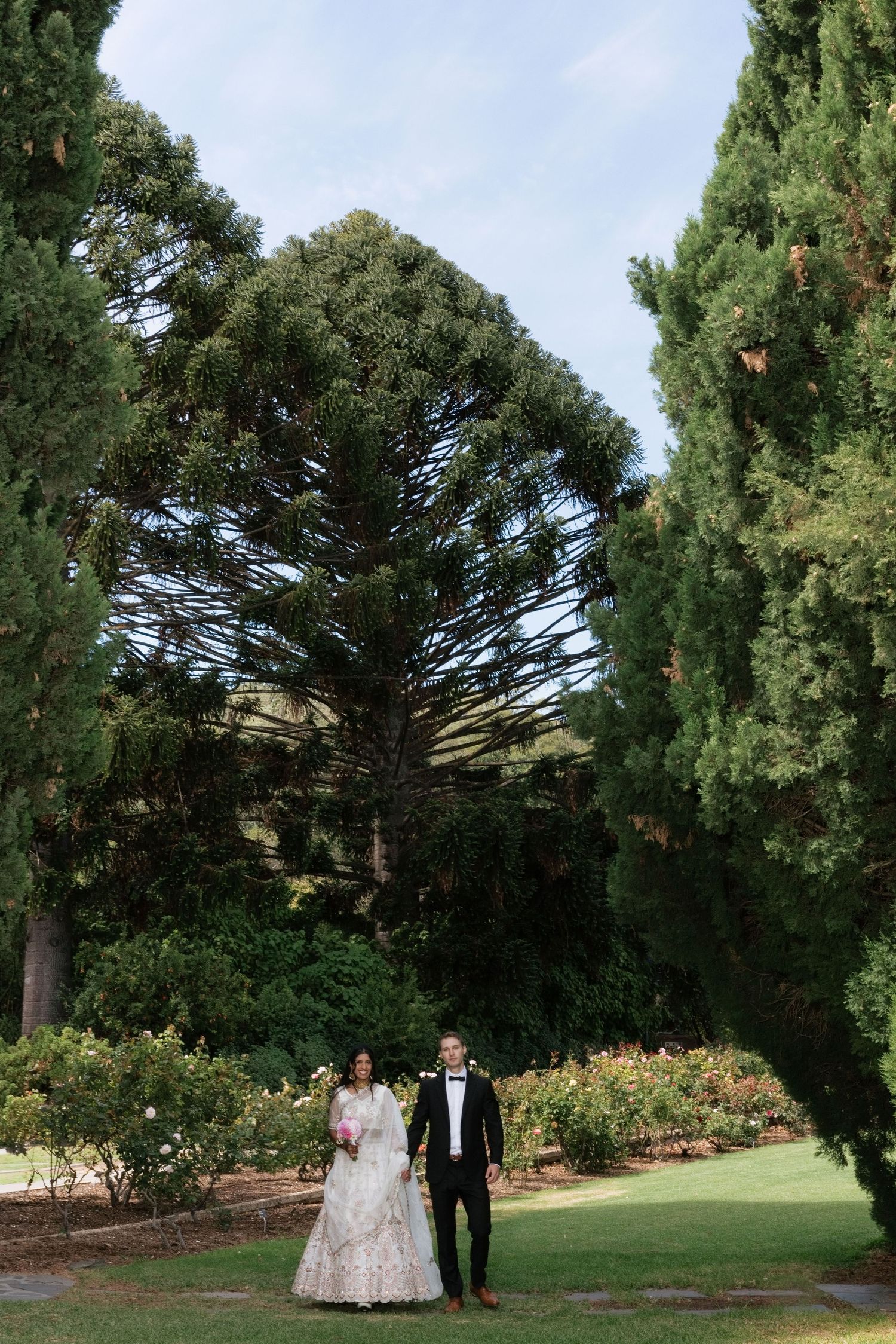 Bride and groom standing together in lush garden surrounded by tall cypress and pine trees on their wedding day.