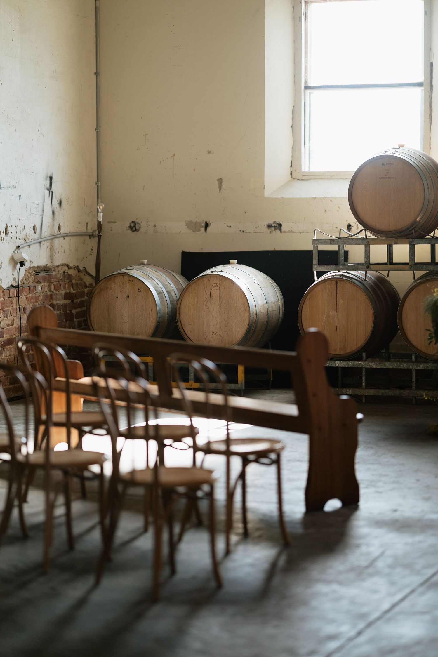 Rustic winery ceremony space with wooden barrels and bentwood chairs arranged for a wedding.