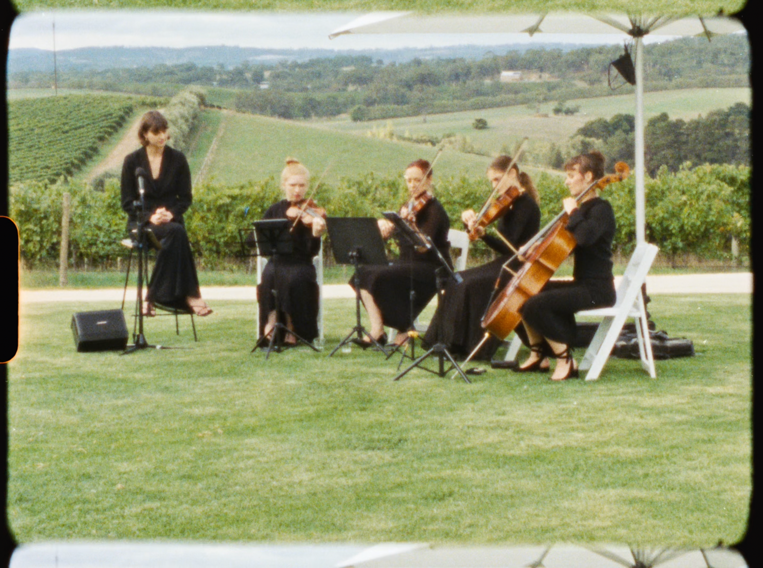 String quartet performing outdoors at a vineyard wedding ceremony on a sunny day.