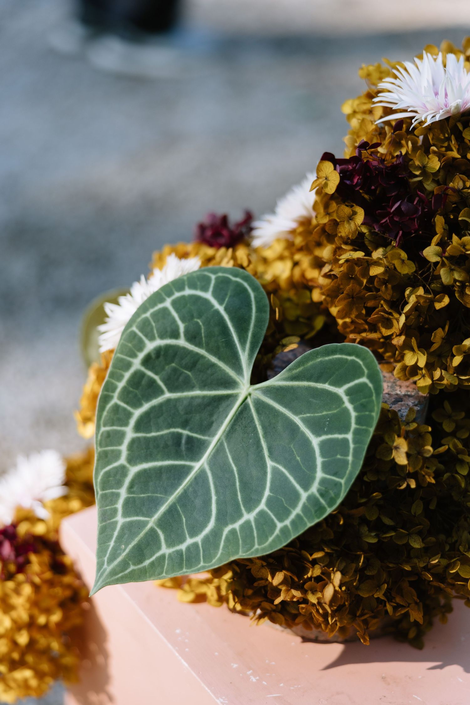 Heart-shaped green leaf with white veins resting on dried yellow hydrangeas in a floral arrangement.