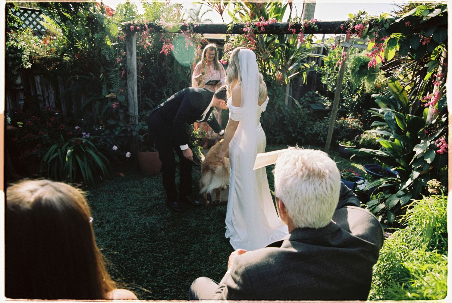 Golden retriever dog joining bride and groom at outdoor garden wedding ceremony.