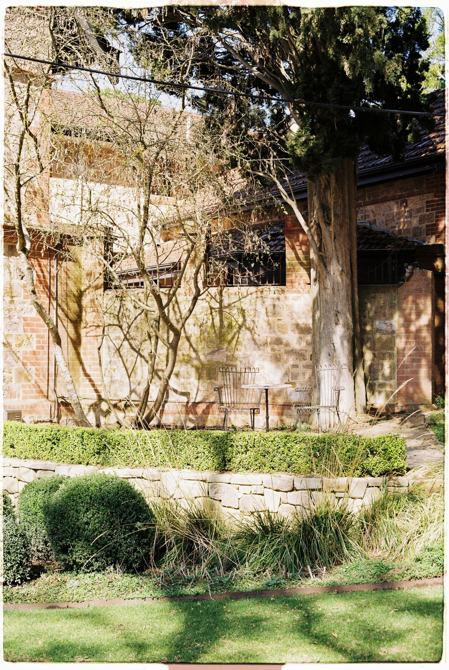 Sunlit brick building exterior with manicured hedges, stone retaining wall, and tall cypress trees.