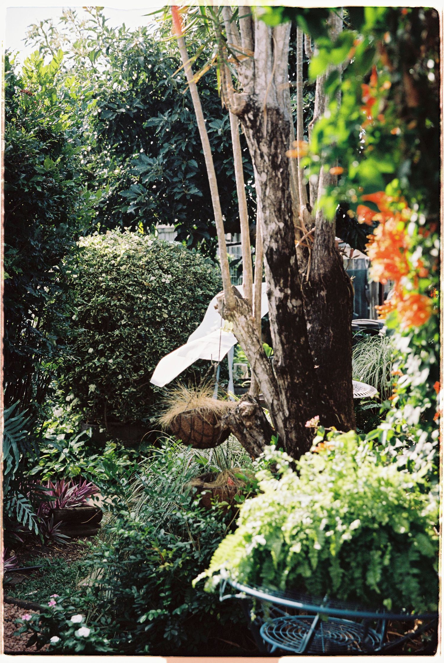Lush garden with white bird sculpture, ornamental grasses, and vibrant greenery surrounding a large tree trunk.