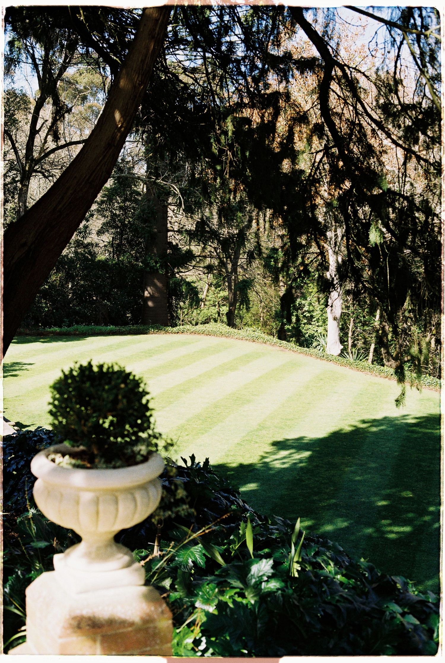 Elegant white stone urn planter on a manicured striped lawn garden with tall shady trees.