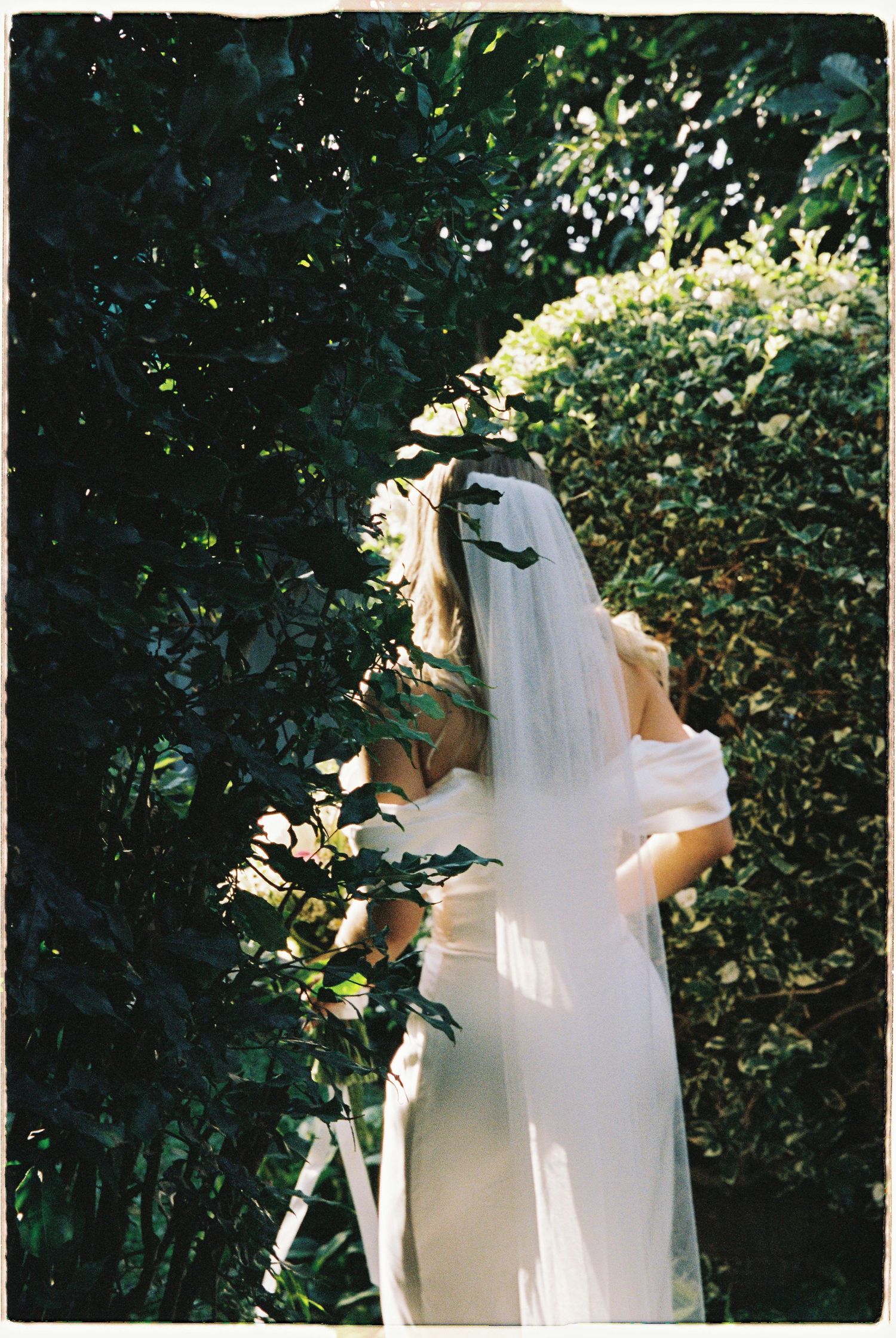 Bride in white wedding dress and veil standing among lush green garden hedges in soft natural sunlight.