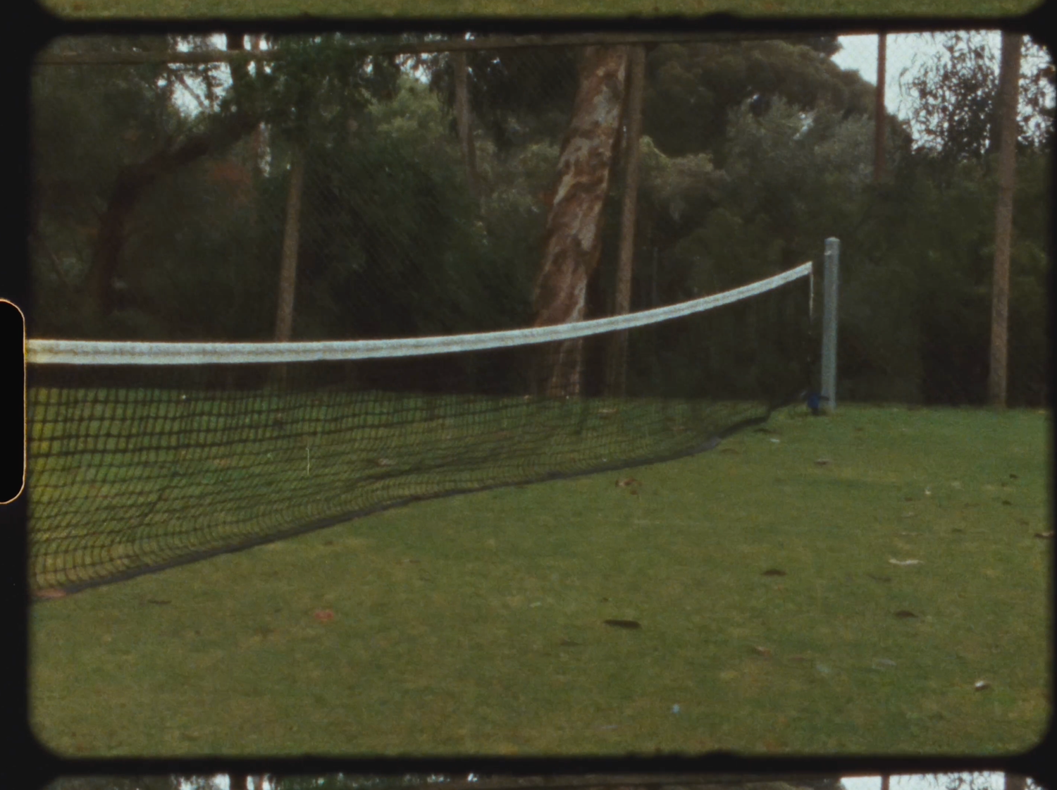 A tennis net stretched across a grass court surrounded by tall trees in an outdoor setting.