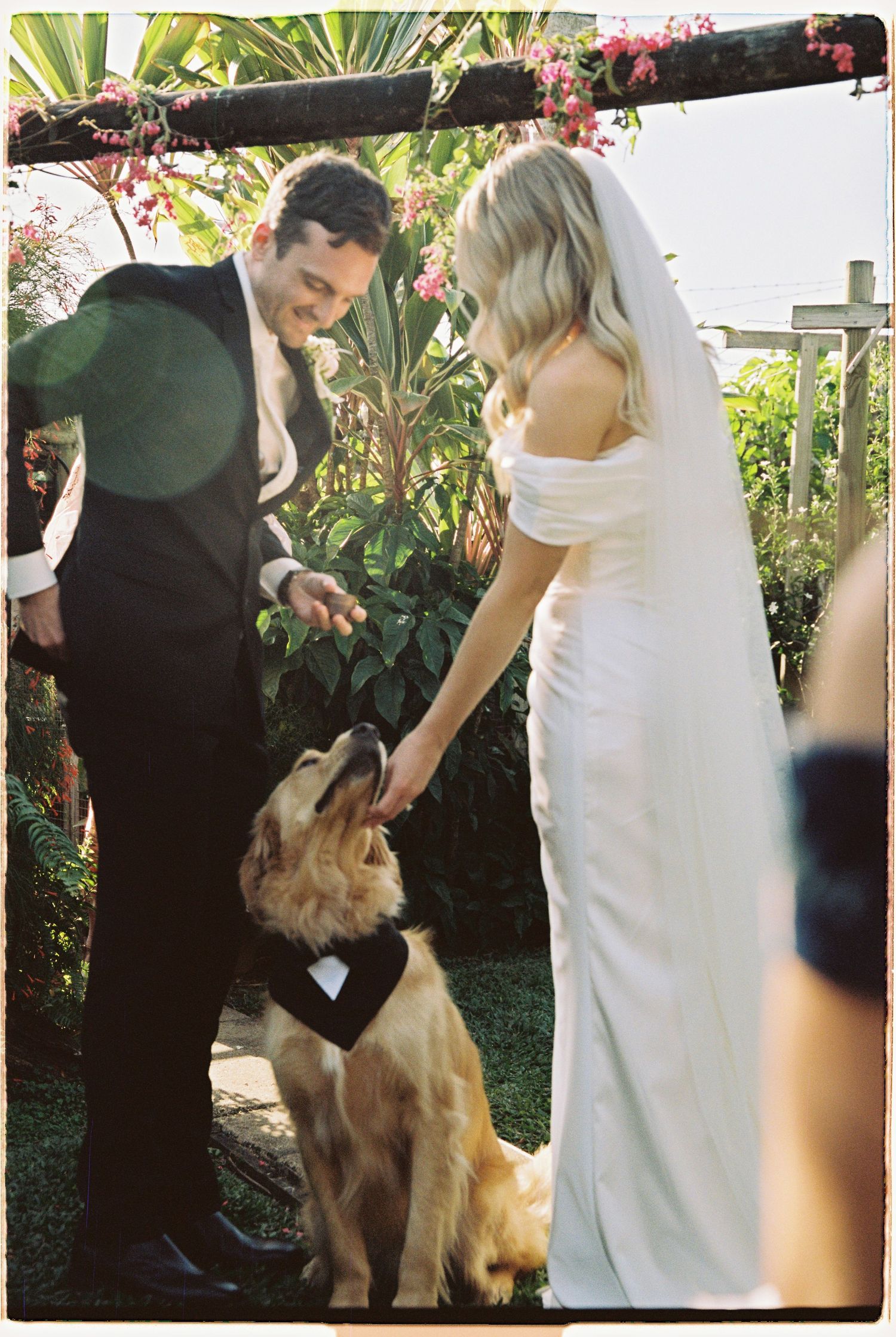 Bride and groom petting their golden retriever dog wearing a tuxedo bow tie at an outdoor garden wedding ceremony.