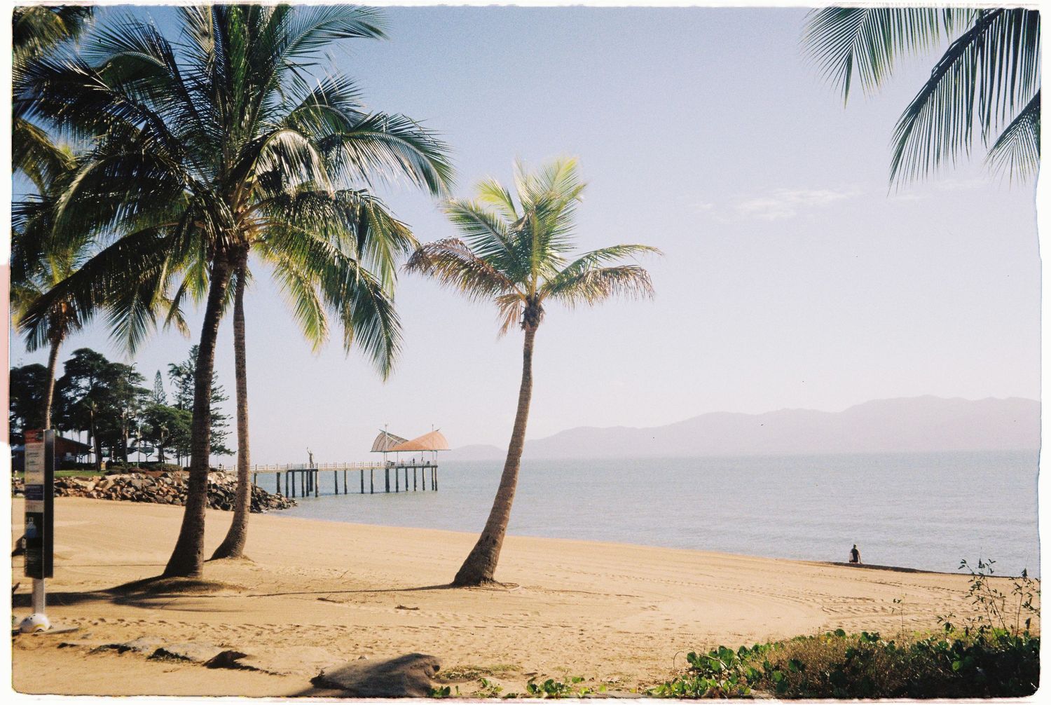 Golden sandy beach lined with swaying palm trees and a wooden pier stretching into calm tropical ocean waters.