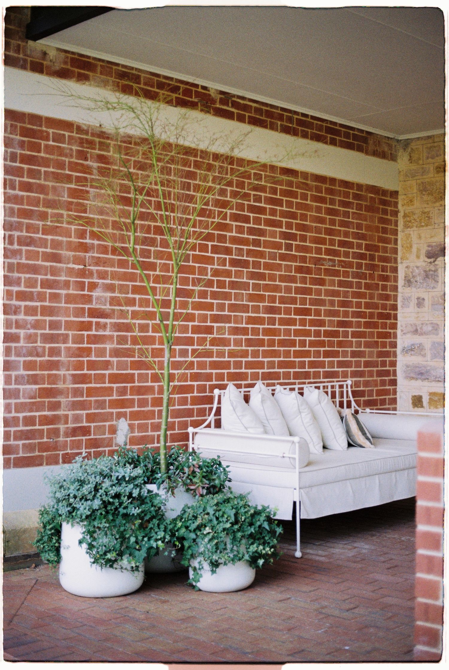 White outdoor daybed with cushions on a brick porch, flanked by large white planters with lush green plants and bare branches.