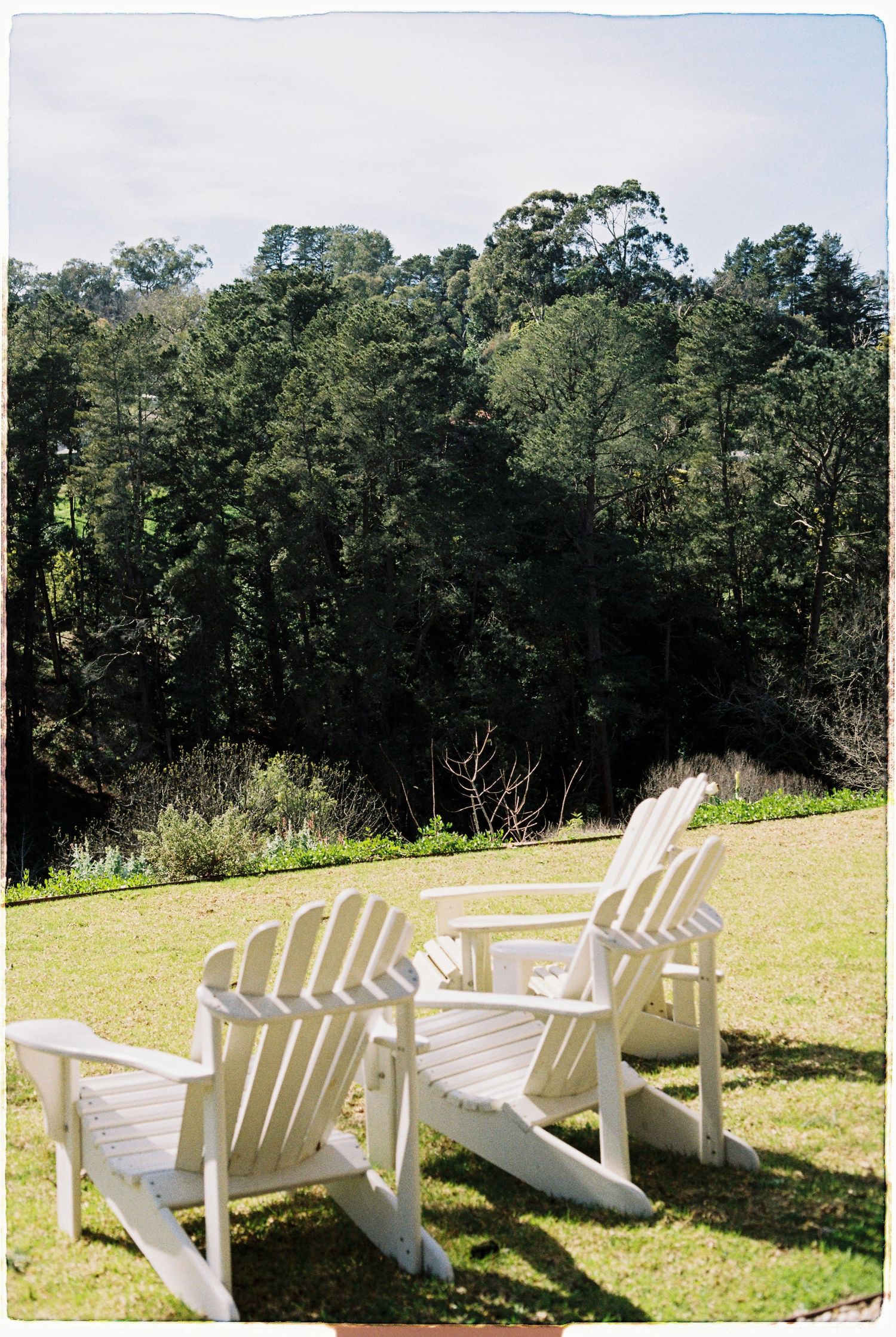 Two white Adirondack chairs on green lawn overlooking lush forest trees on a sunny day.