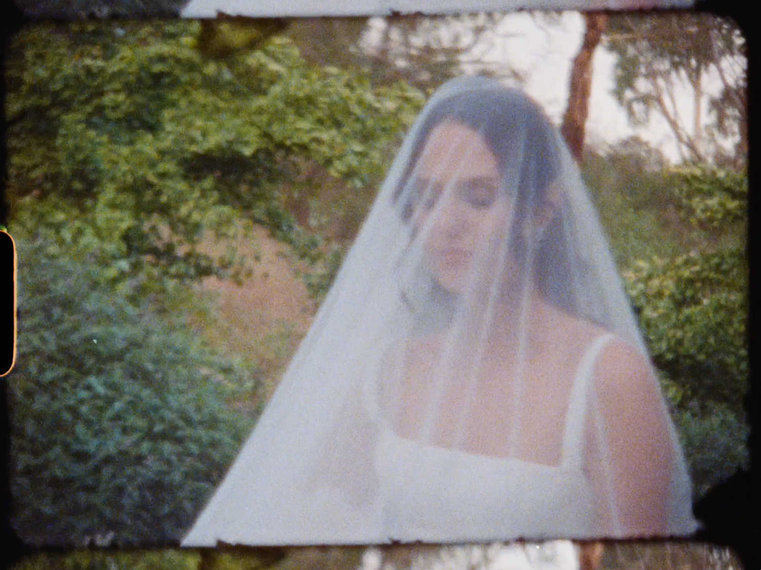 Bride in white gown and veil stands among lush green garden foliage.