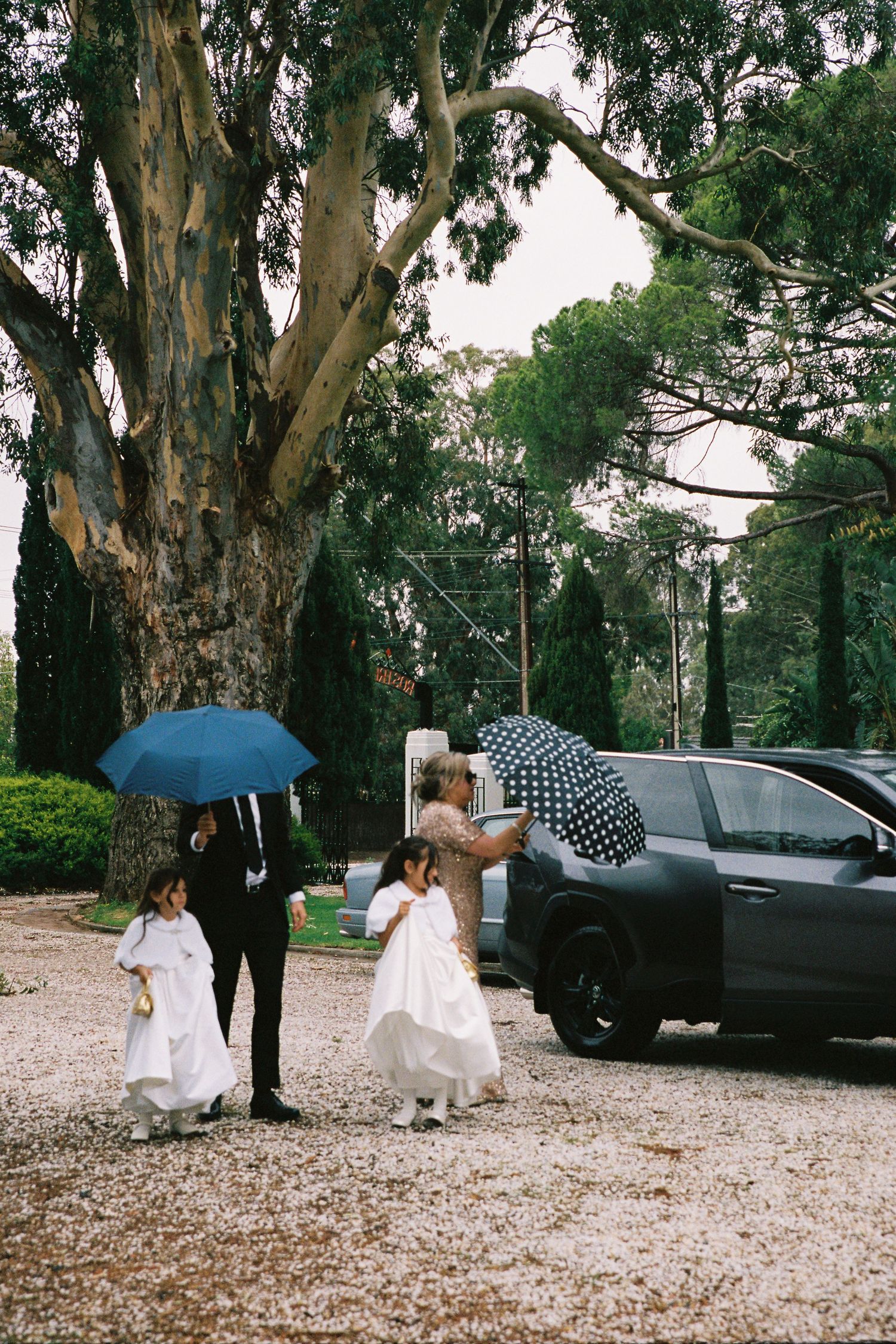 Groom walking flower girls in white dresses under blue umbrella at outdoor wedding venue with large trees.