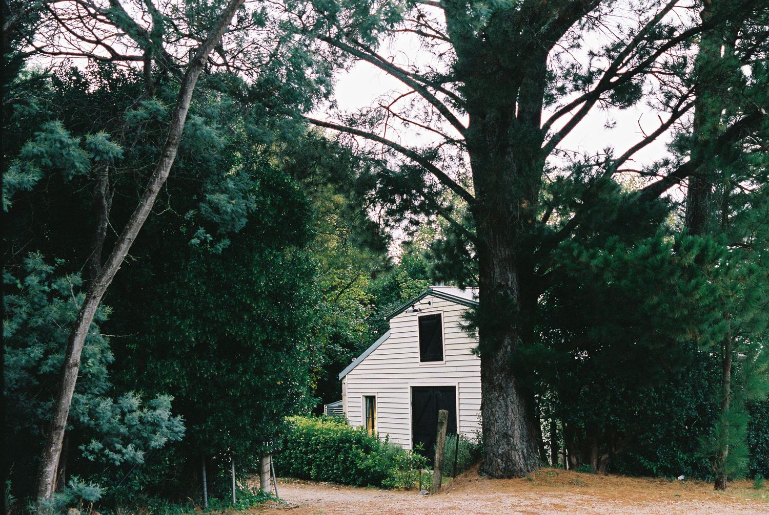 A small white cottage surrounded by tall trees along a gravel path in a lush green garden setting.