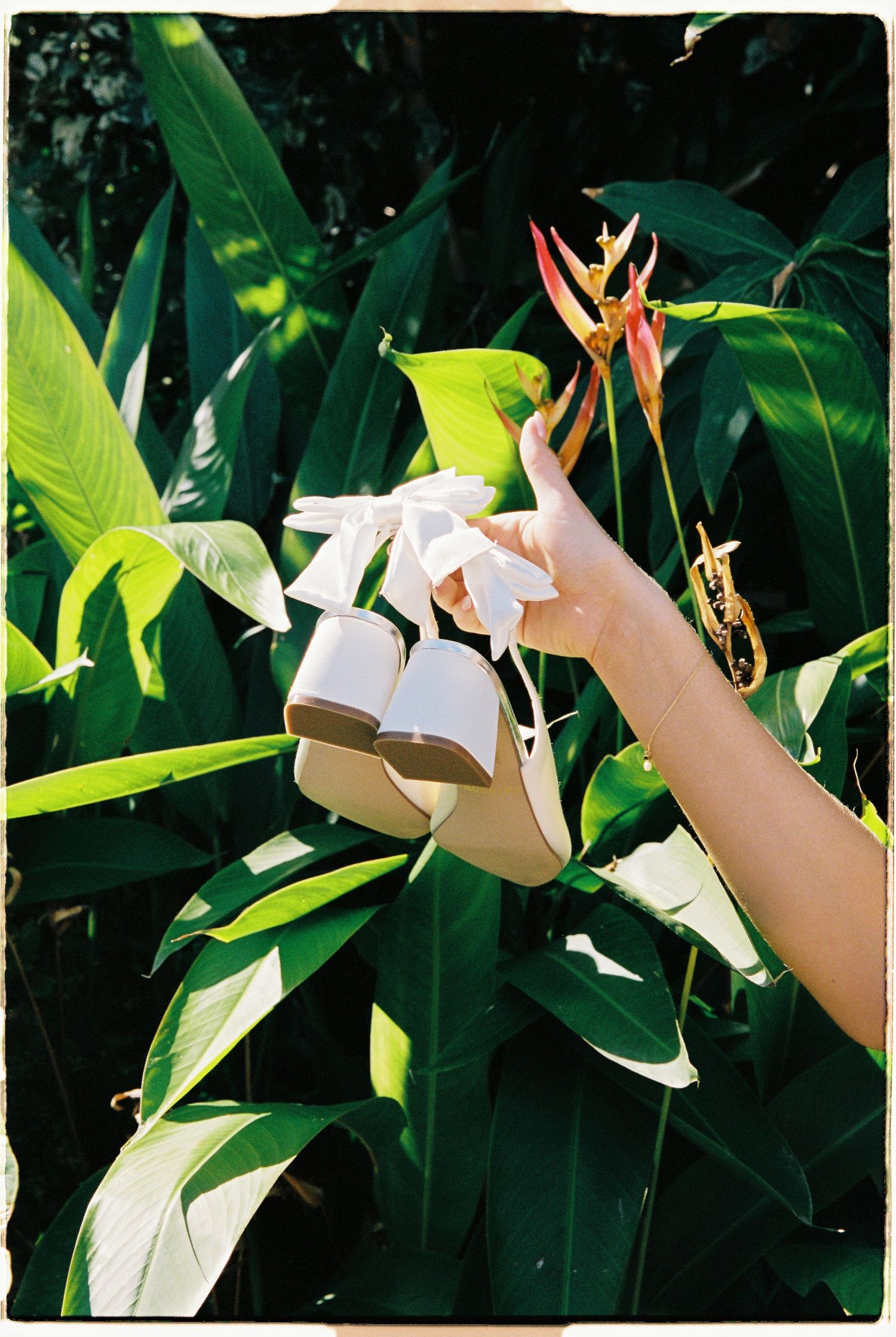 Hand holds white bridal heels with bow against vibrant tropical green foliage background.