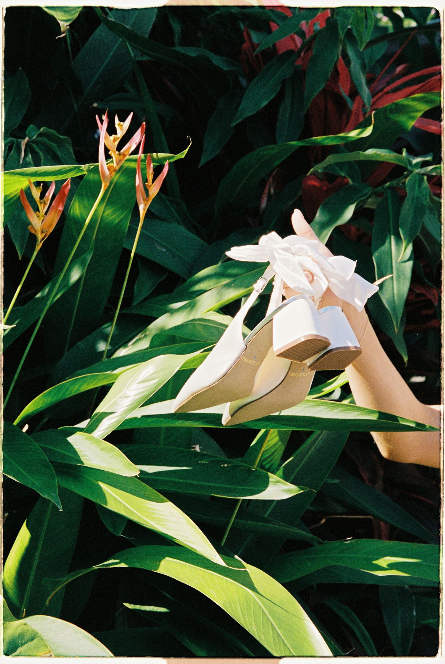 Elegant white heeled sandals with bow detail held up among lush tropical green leaves and bird of paradise flowers.